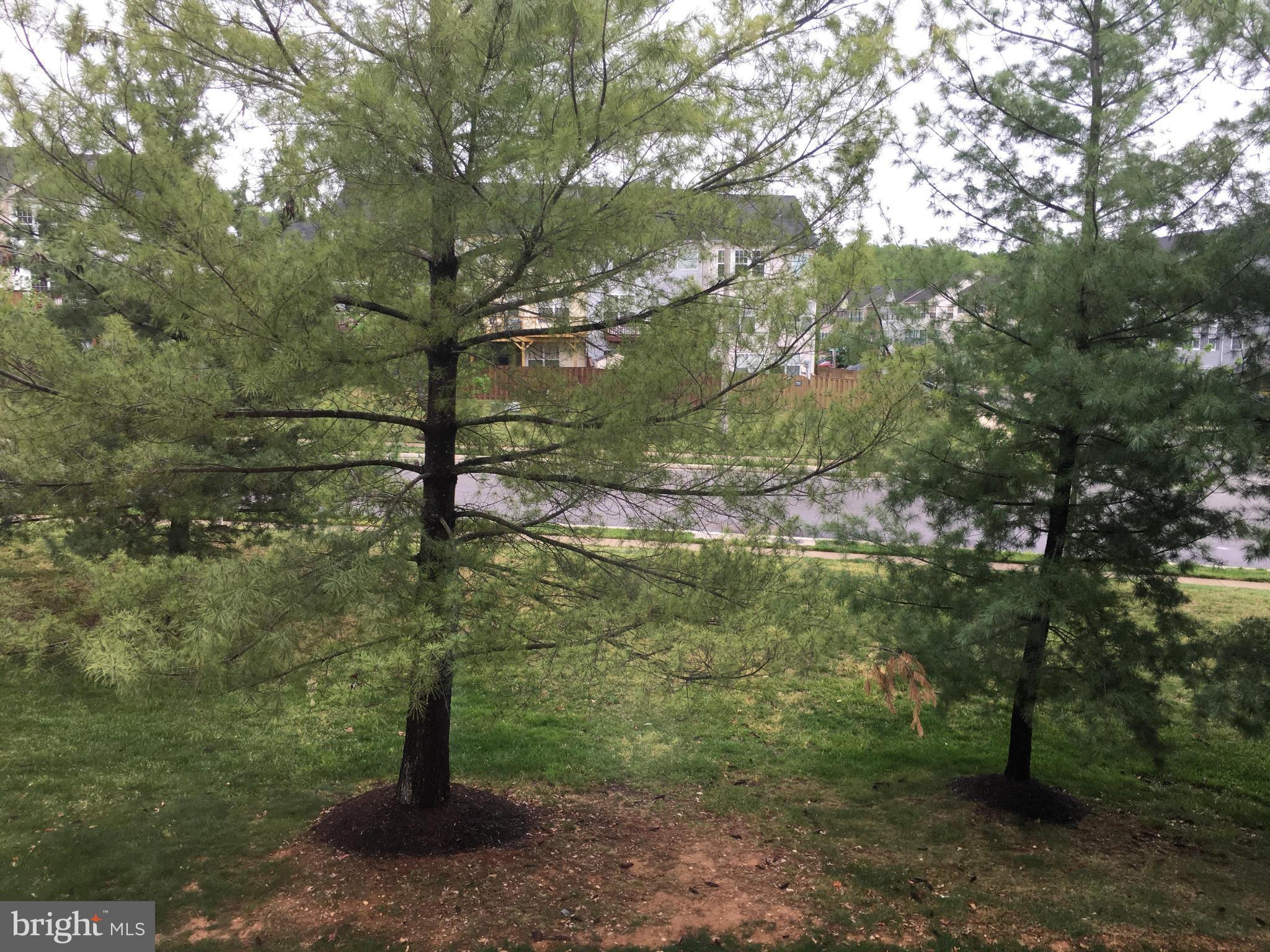 HIGH POINTE AT RIPPON LANDING - Residential Lease