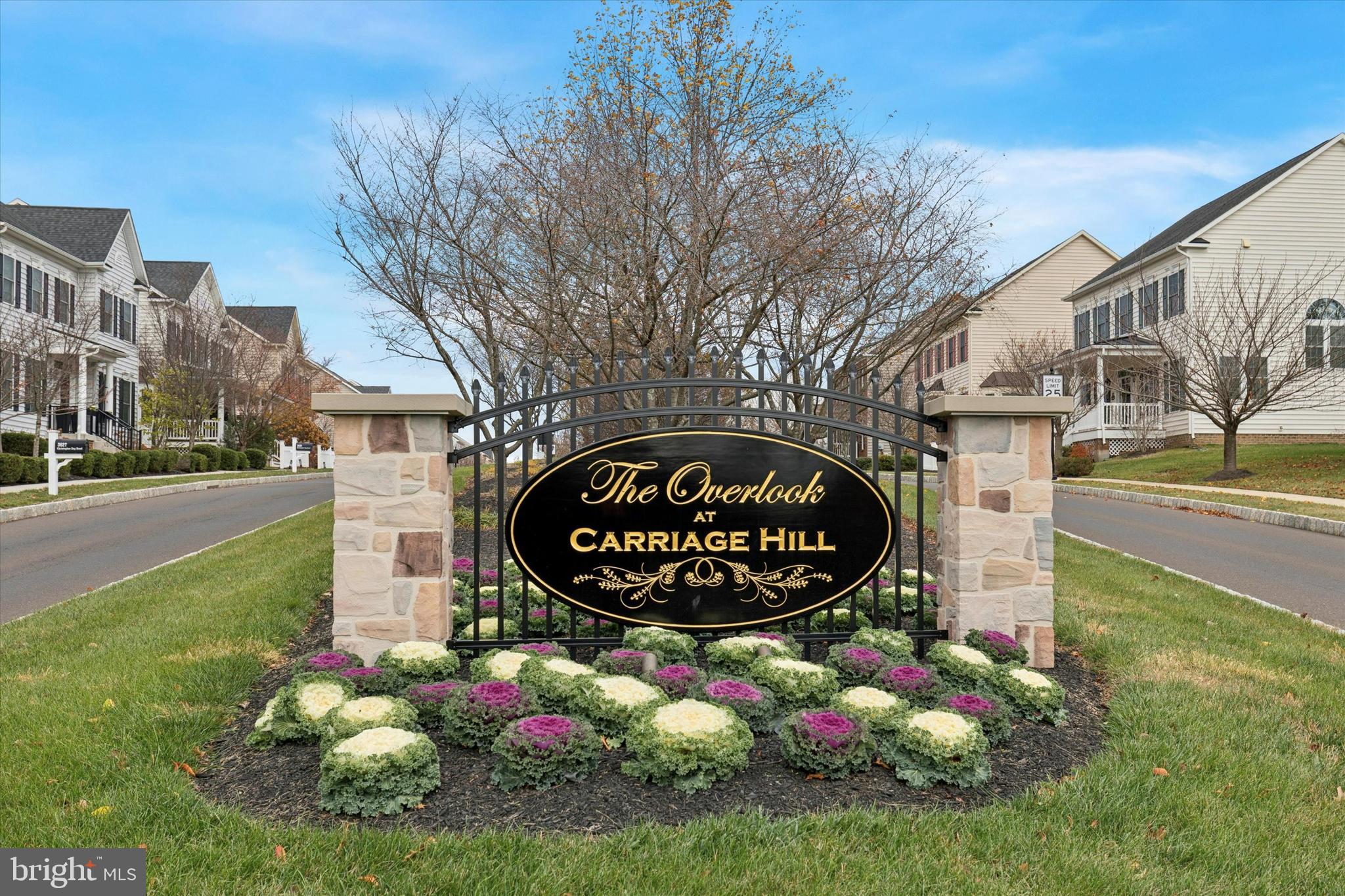 OVERLOOK AT CARRIAGE - Residential