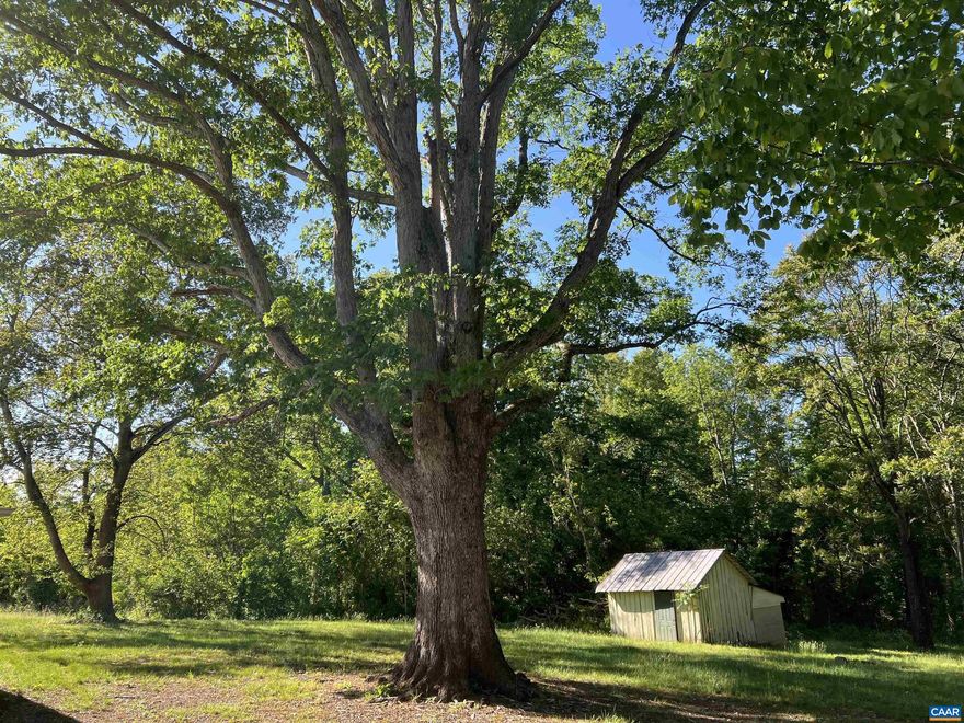 Price reduced!  Enjoy these beautiful, mostly wooded 25+/- acres located 25 minutes from downtown Charlottesville and in close proximity to several wineries and breweries.  Survey indicates that there are two theoretical development rights assigned to the property. Improvements include a well, septic system, electricity and an older cottage.  All improvements are being sold as-is because the seller (executor of the estate) has no information or knowledge about them.