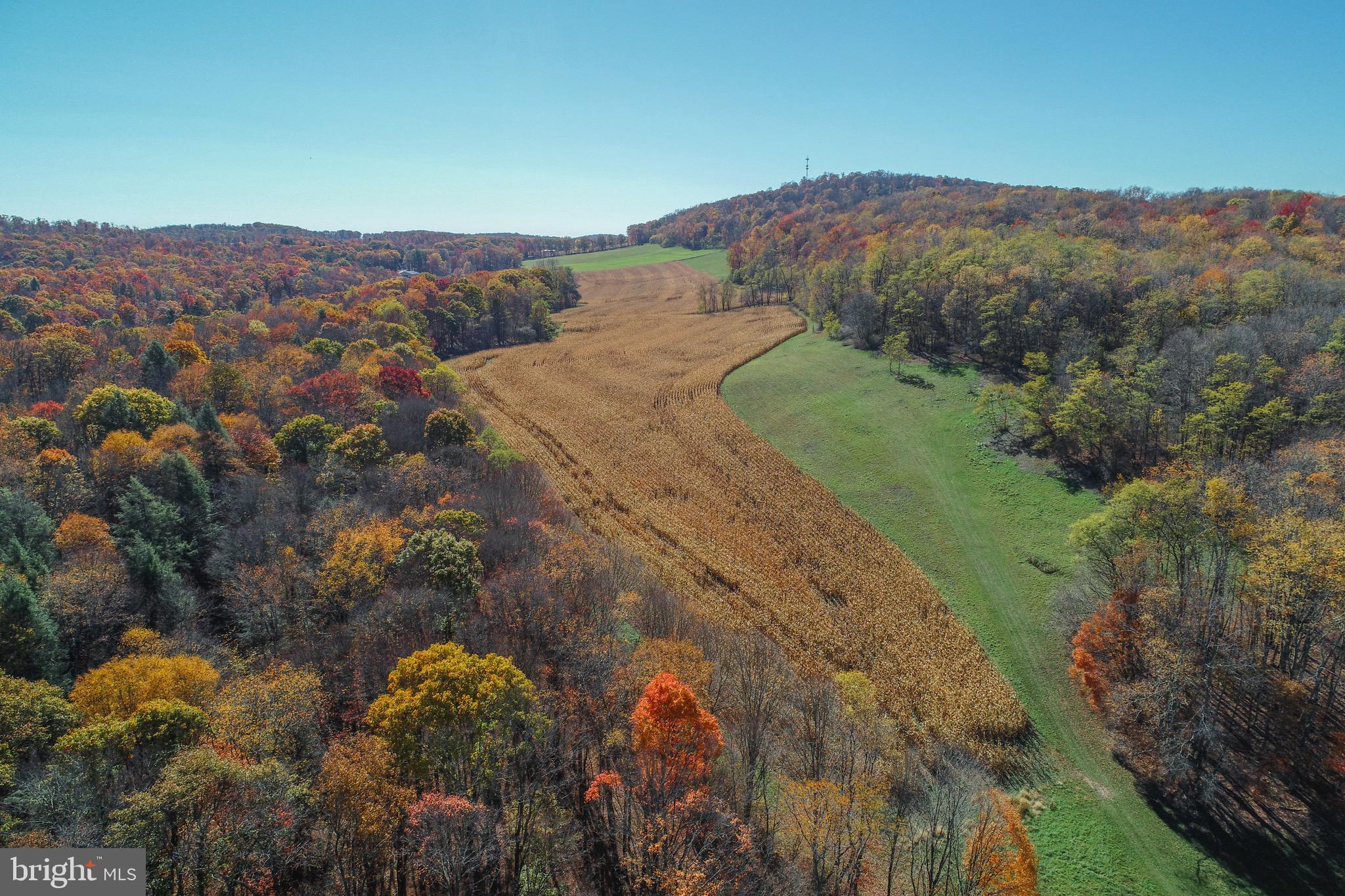 2527 PIGS EAR ROAD