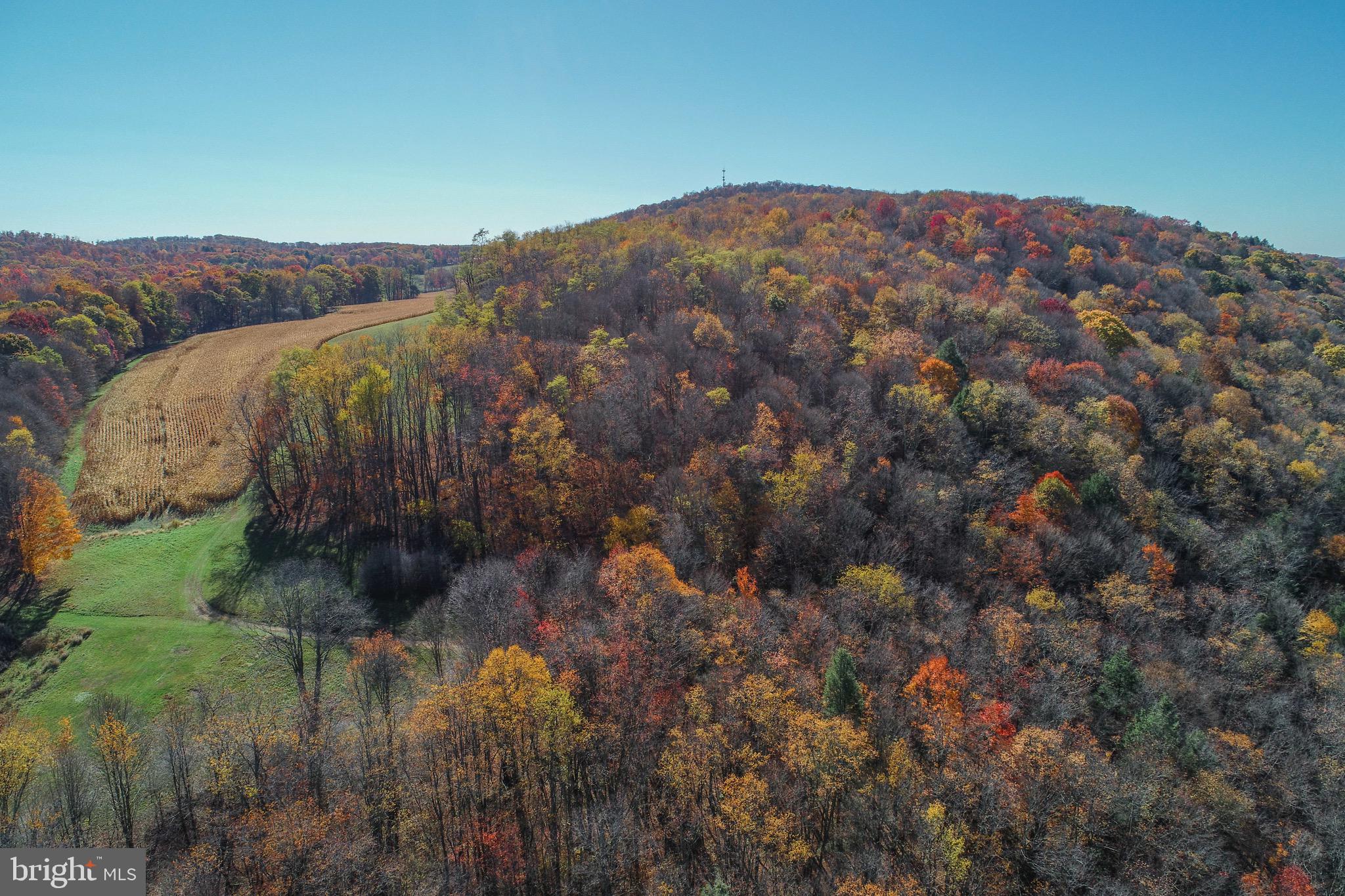 2527 PIGS EAR ROAD