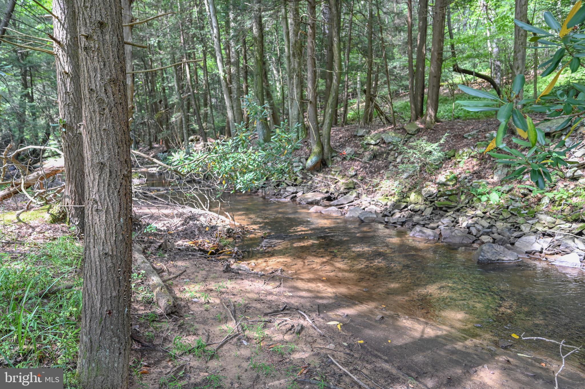 2527 PIGS EAR ROAD