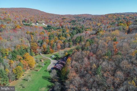 2527 PIGS EAR ROAD GRANTSVILLE MD 21536
