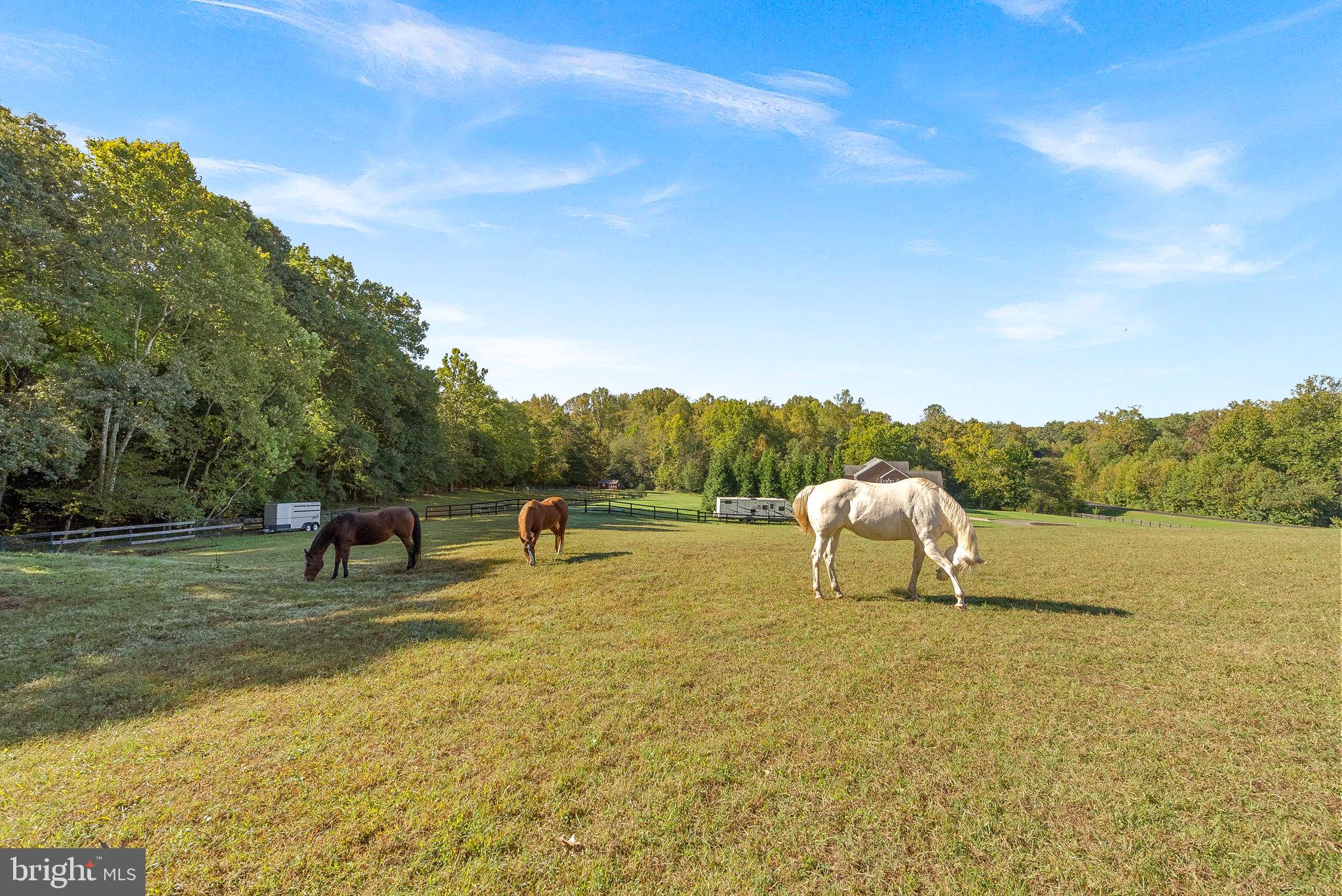 CEDAR CREEK FARMS - Residential