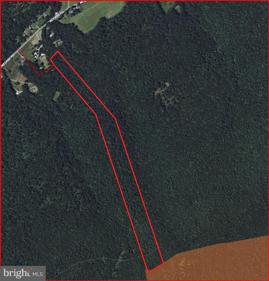 37.64 acres of mountain land with over 5,000 feet of depth to the top of the ridge bordering the Reineman Wildlife Sanctuary. Accessed by a 50' deeded right-of-way, this long, narrow parcel ranges from approximately 90 to 110 yards wide and offers a secluded setting for hunting, hiking, and outdoor recreation. The Tuscarora Trail cuts across the upper section of the land and provides access to miles of hiking trails. A level area midway up the mountain offers potential for a future cabin or campsite location, though no perc testing has been completed. Conveniently located just 40 minutes from Harrisburg, this property is well-suited for anyone looking for a private recreational getaway.
