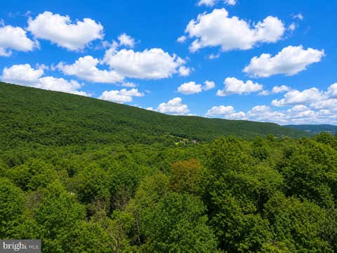 Vacant Land For Sale - 00 Mccabe Road<br/> Perry County, LANDISBURG, PA 17040