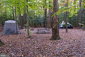 LORFAX HEIGHTS - Residential Lease