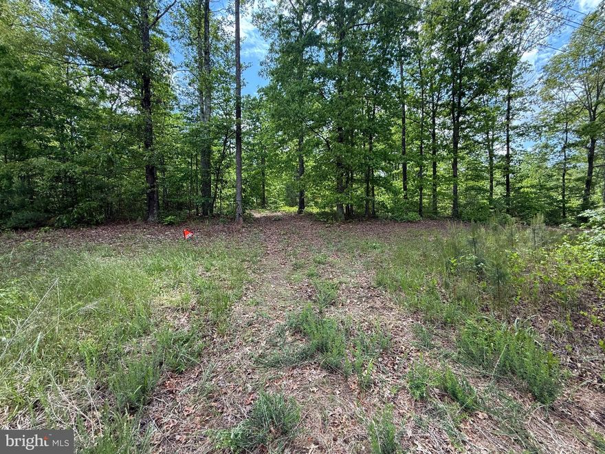 LOCATION!!! LOCATION!!! LOCATION!!!

Welcome to a rare opportunity to own 25 expansive acres in a peaceful, picturesque country setting. Whether you're dreaming of building your forever home, creating a private estate, starting a hobby farm, or investing in land with future development potential, this property offers endless possibilities.

Nestled in a desirable rural area known for its natural beauty and quiet lifestyle, this lot features a mix of open fields and lightly wooded areas, giving you a perfect balance of privacy and usability. With plenty of road frontage and easy access to nearby towns and highways, you get the tranquility of country living without sacrificing convenience.

This is the kind of land where you can truly spread out, breathe deep, and enjoy the simple things—sunsets, starry skies, and the sound of nature.