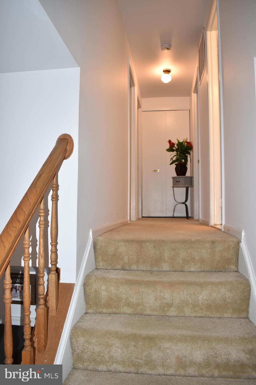 NEWGATE FOREST - Residential Lease