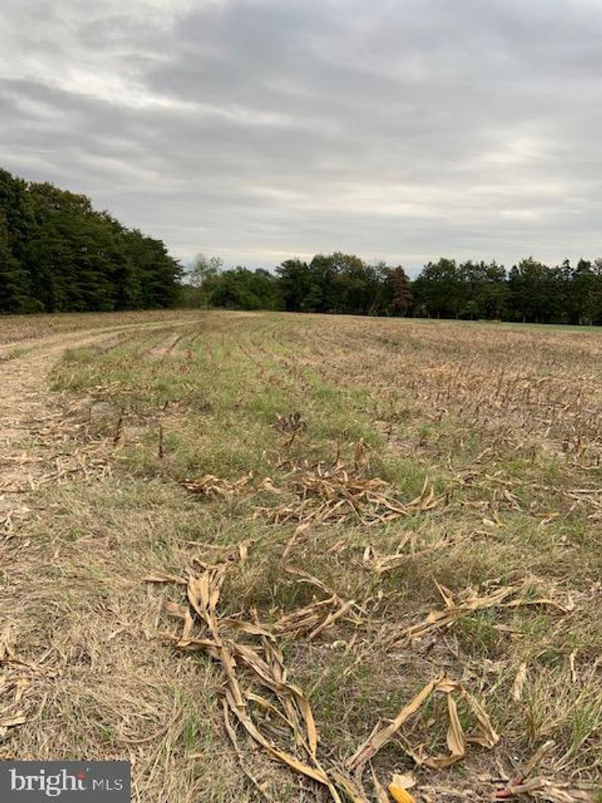 160 acres zoned rural agricultural. Approx. 80 acres in open pasture and 80 acres are wooded. Cannot be subdivided for housing. There is a conservation easement  on the property. Can be used for agricultural products,  crops, livestock and products, field crops, fruits, vegetables, horticultural specialties, cattle, sheep, hogs, goats, horses, poultry, furbearing animals, milk, eggs , a horse farm,  a vinyard or brewery, landscaping company or nursery.  Hemp farm is permitted.  Also Lot 6 is available to purchase on Cattleland Dr if someone wants to purchase that as a home site or an  different entrance to  the farm.