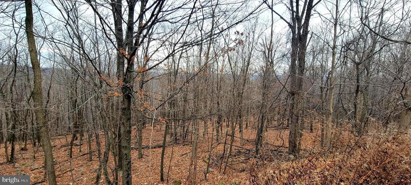 NONE AVAILABLE - Land