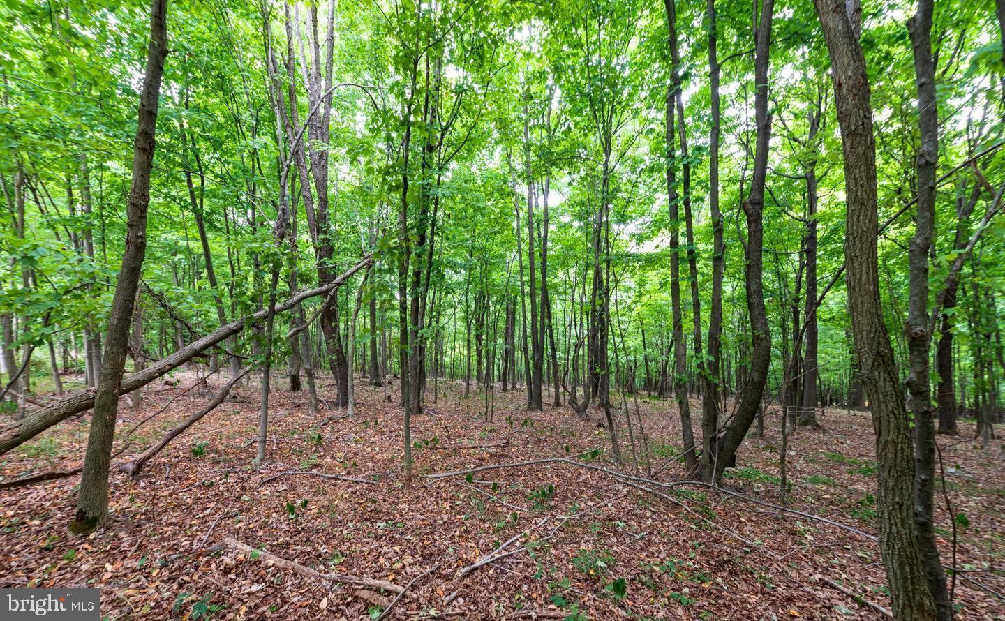 NONE AVAILABLE - Land