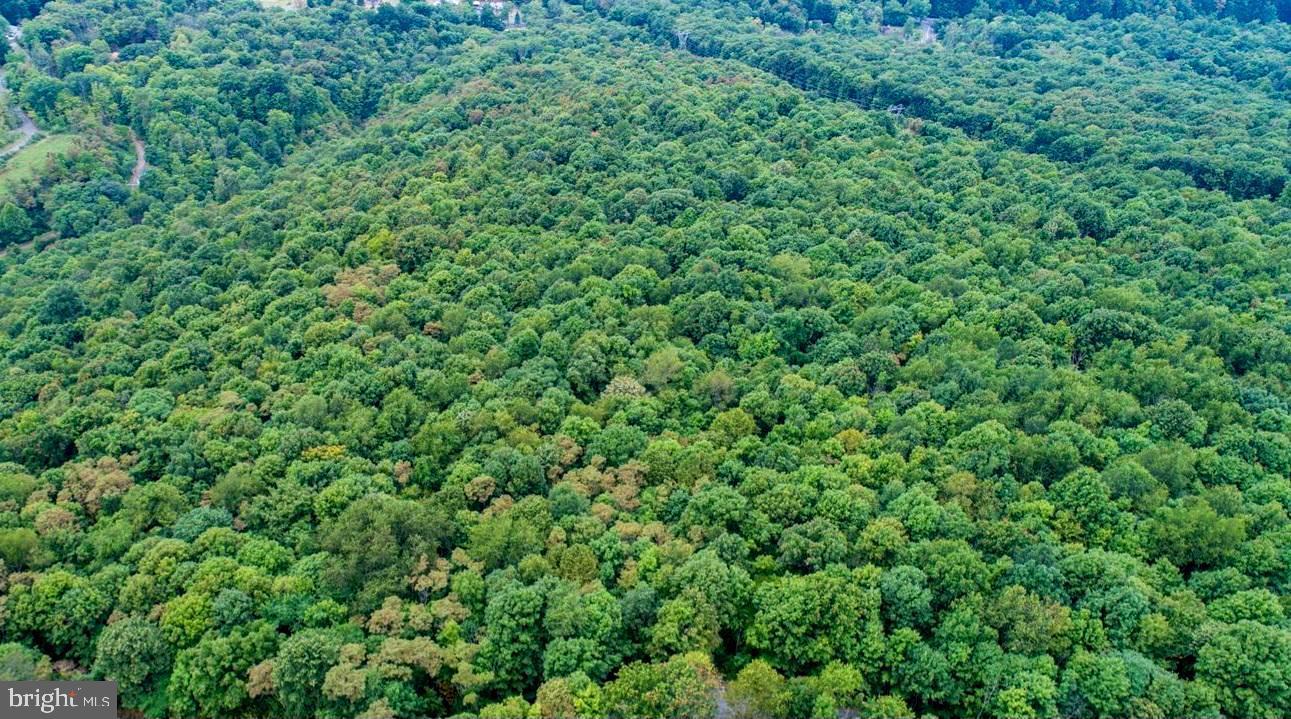 NONE AVAILABLE - Land