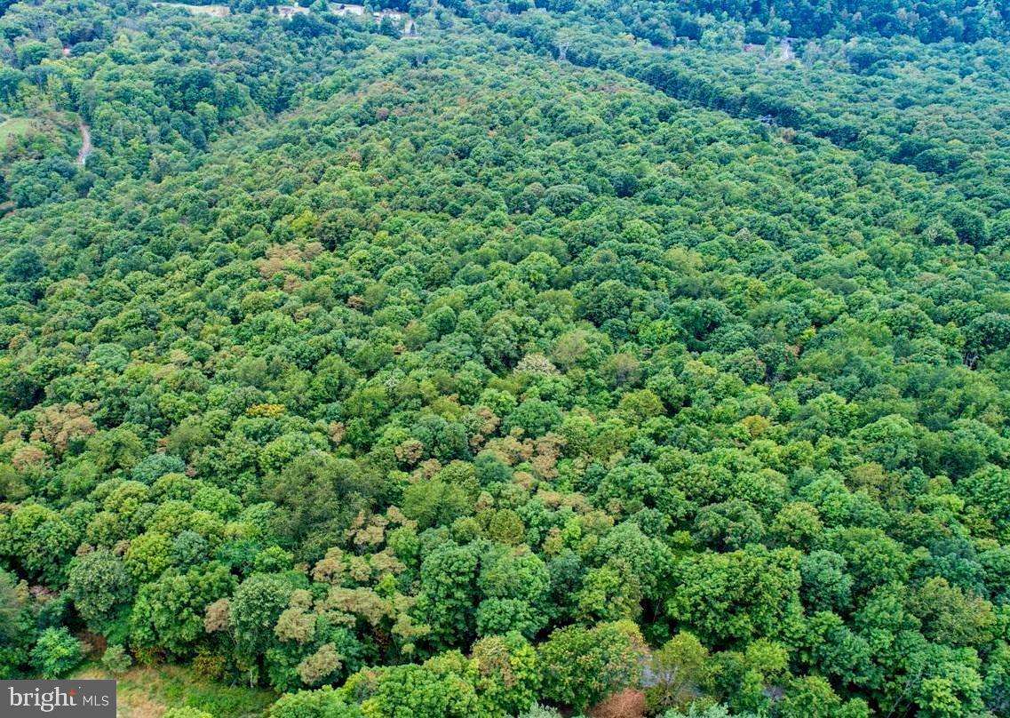 NONE AVAILABLE - Land