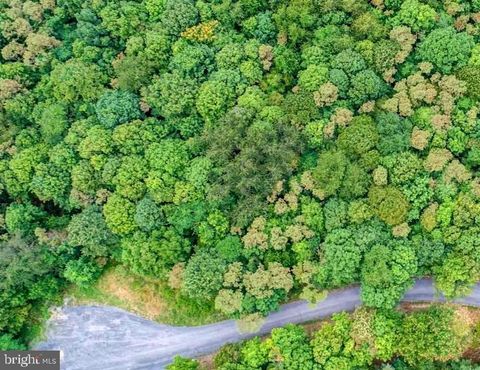 12305 BARBERS HILL ROAD FROSTBURG MD 21532