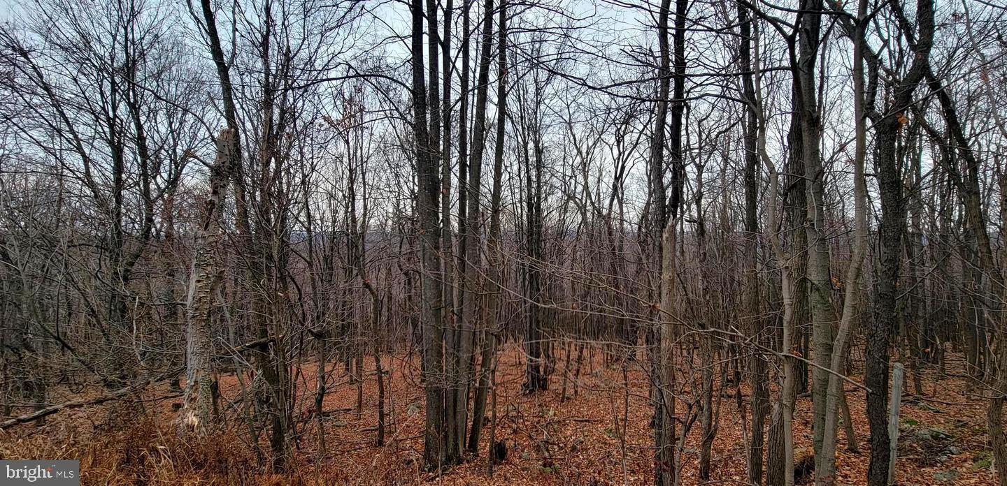 NONE AVAILABLE - Land