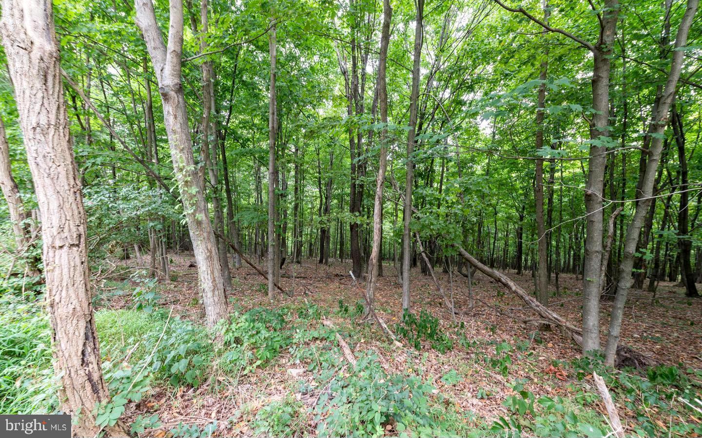 NONE AVAILABLE - Land