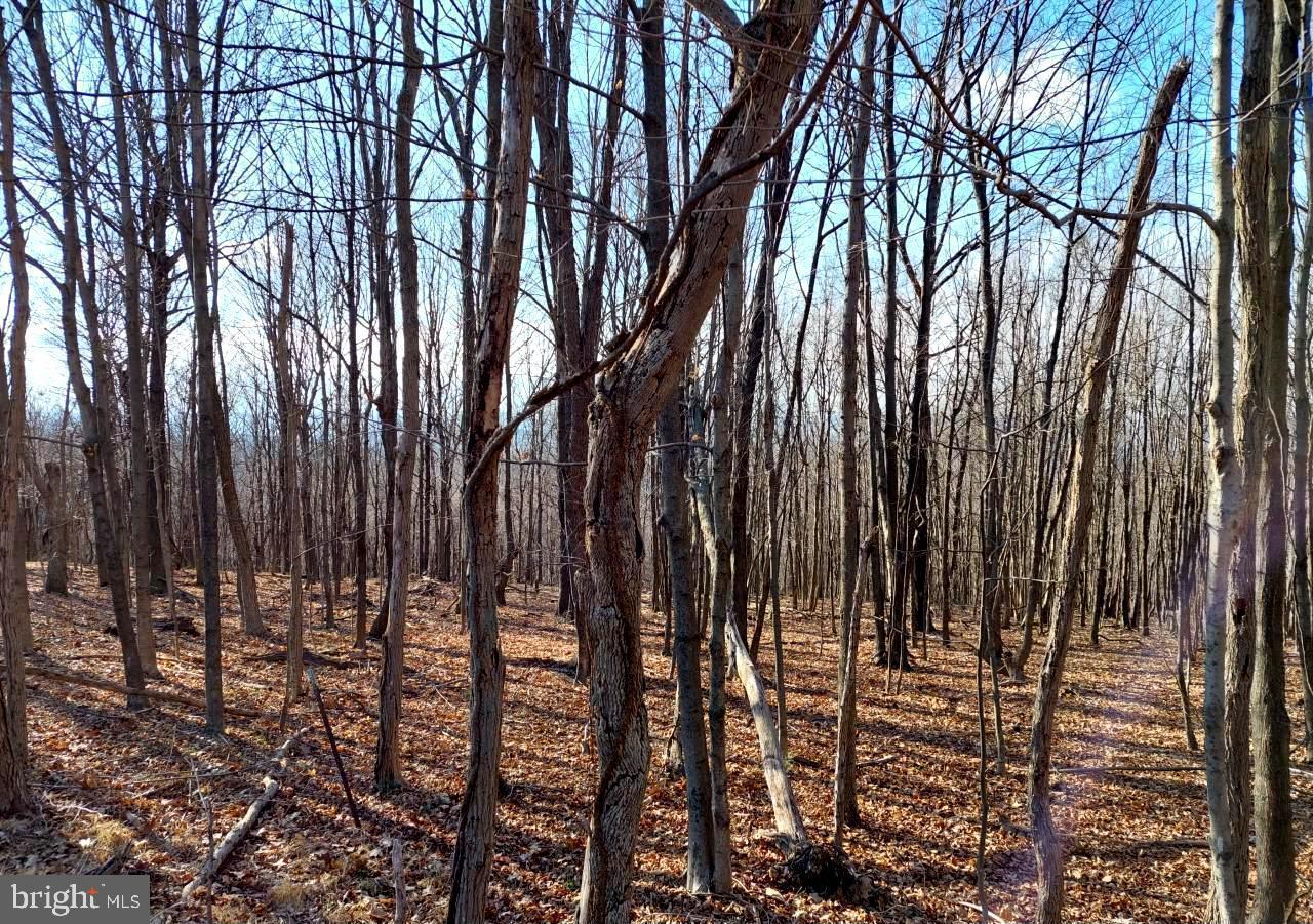 NONE AVAILABLE - Land