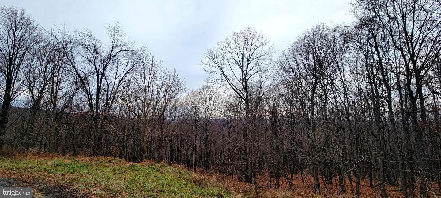 NONE AVAILABLE - Land