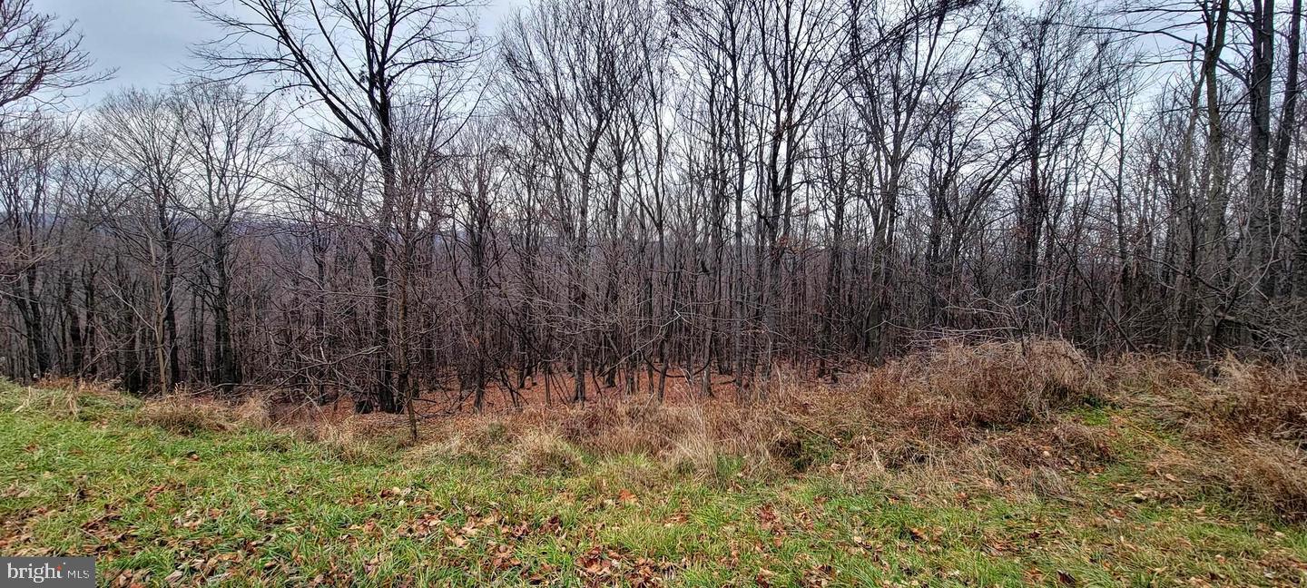 NONE AVAILABLE - Land