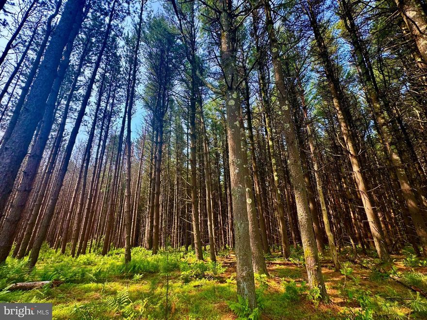 "Breathtaking Views in Bruceton" Discover the ultimate outdoor sanctuary with this breathtaking 81 ACRE tract nestled on the West Virginia/Pennsylvania line. This pristine property boasts some of the best panoramic mountain views this state has to offer. Multiple spring-fed creeks meander through the property, offering not just a scenic touch but also the soothing sounds of nature. This land offers mature timber creating a serene backdrop for your dream retreat or investment. With the Appalachian Trail meandering beside the property, outdoor enthusiasts can take in the endless opportunities for hiking, biking, and immersing themselves in this stunning natural landscape. Situated on the historic Mason-Dixon Line, this unique property not only offers a glimpse into history but also the chance to build your legacy. Experience unparalleled privacy and tranquility, with nearly 17,000 acres of the scenic Forbes State Forest as your neighbor. The vibrant ecosystem flourishes with wildlife, providing incredible hunting opportunities for deer and turkey. The mostly flat terrain offers a blank canvas for your vision, whether it's a cozy cabin, an expansive lodge, or an eco-friendly home. 3,600 feet of paved county road access ensures convenience while maintaining a sense of seclusion. Imagine weekends filled with hiking the Allegheny Trail, camping under the stars, or simply soaking in the stunning views and fresh mountain air. Whether you’re looking for a retreat from the hustle and bustle of city life, a hunting lodge, or an investment opportunity in a prime location, this property checks all the boxes. 15 miles to Coopers Rock State Forest. 20 miles to Cheat Lake/ Morgantown. 25 miles to Deep Creek Lake, MD. 70 miles to Pittsburgh, PA. 190 miles to Washington, DC.