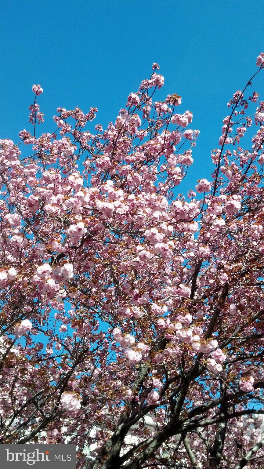 WINDING BROOK - Residential Lease