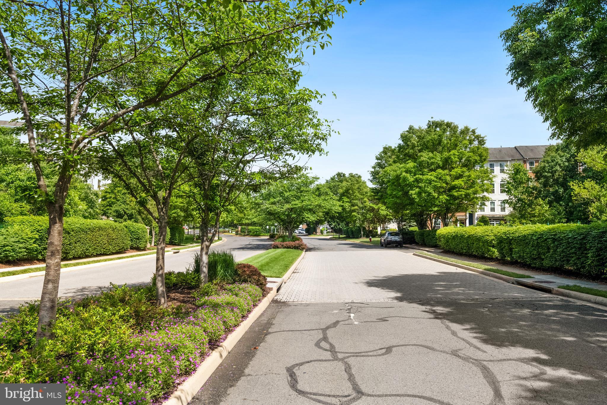 AMBER SPRING CONDOMINIUMS - Residential