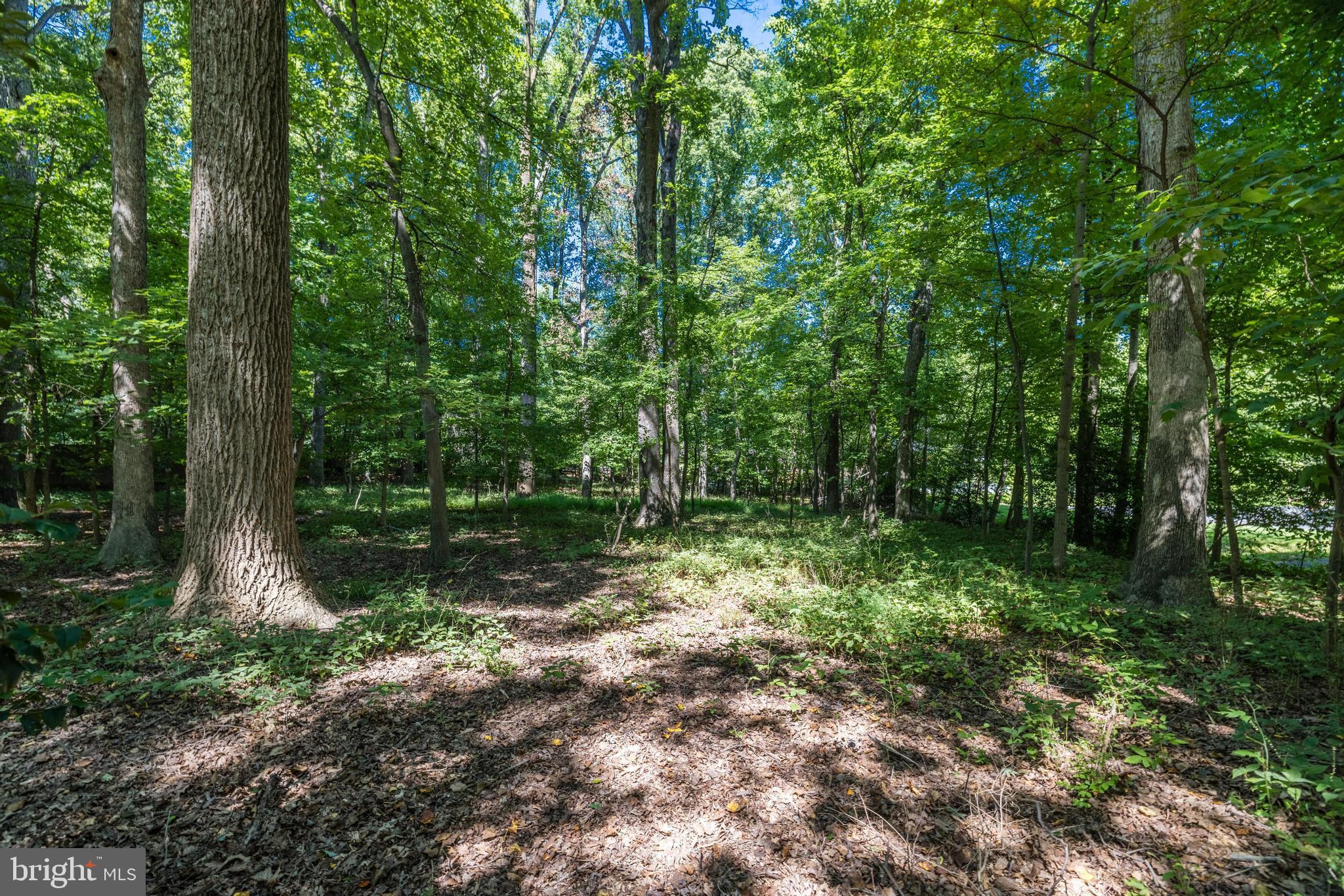 ACREDALE - Residential