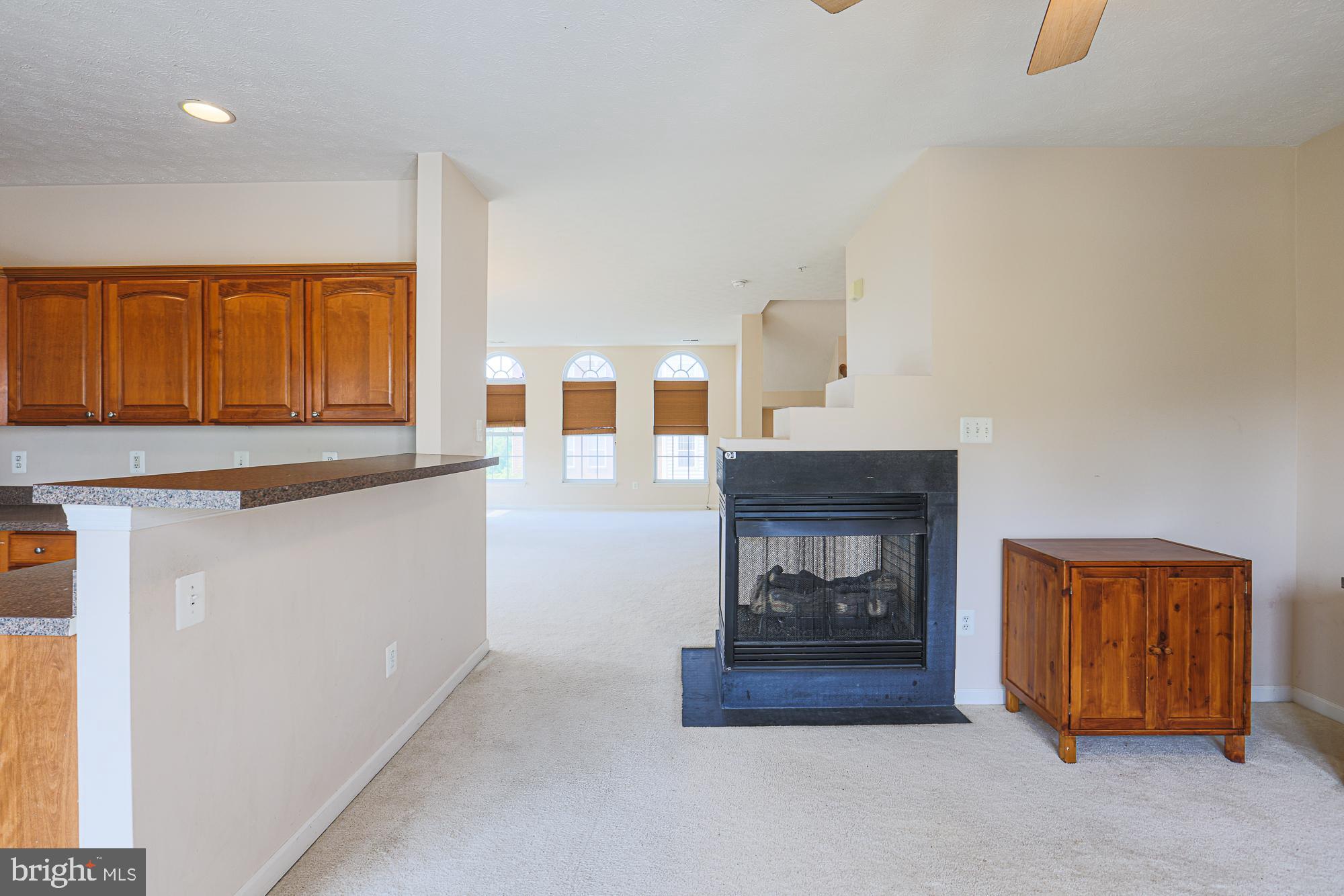 VILLAGE OF MILL RUN - Residential