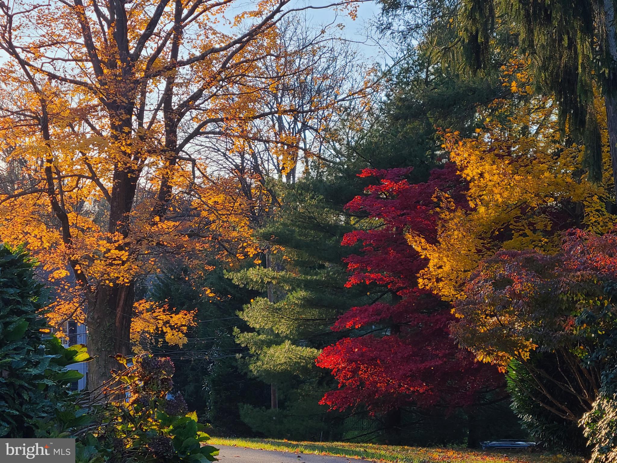 SOUTH WAYNE - Residential