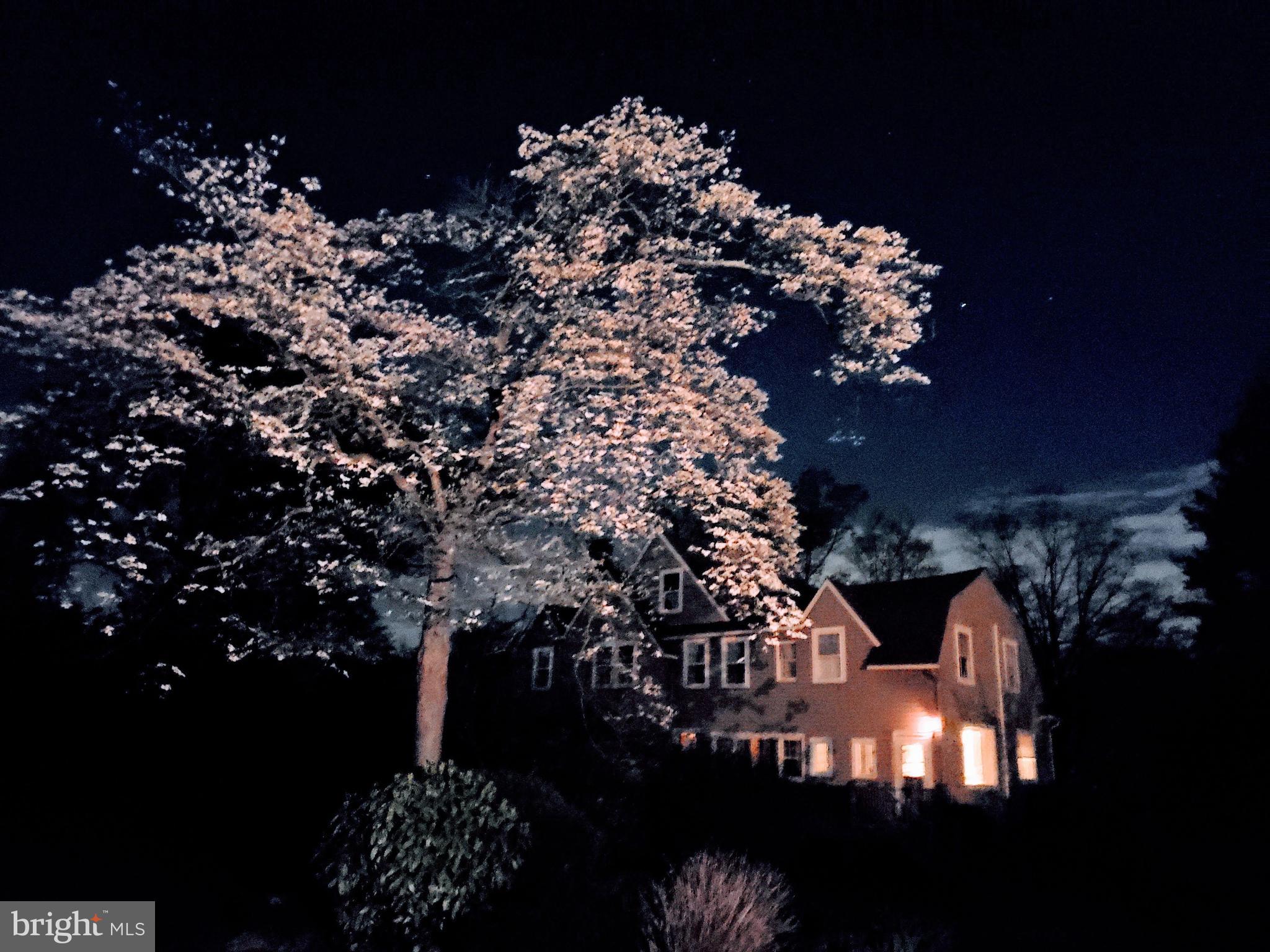 SOUTH WAYNE - Residential