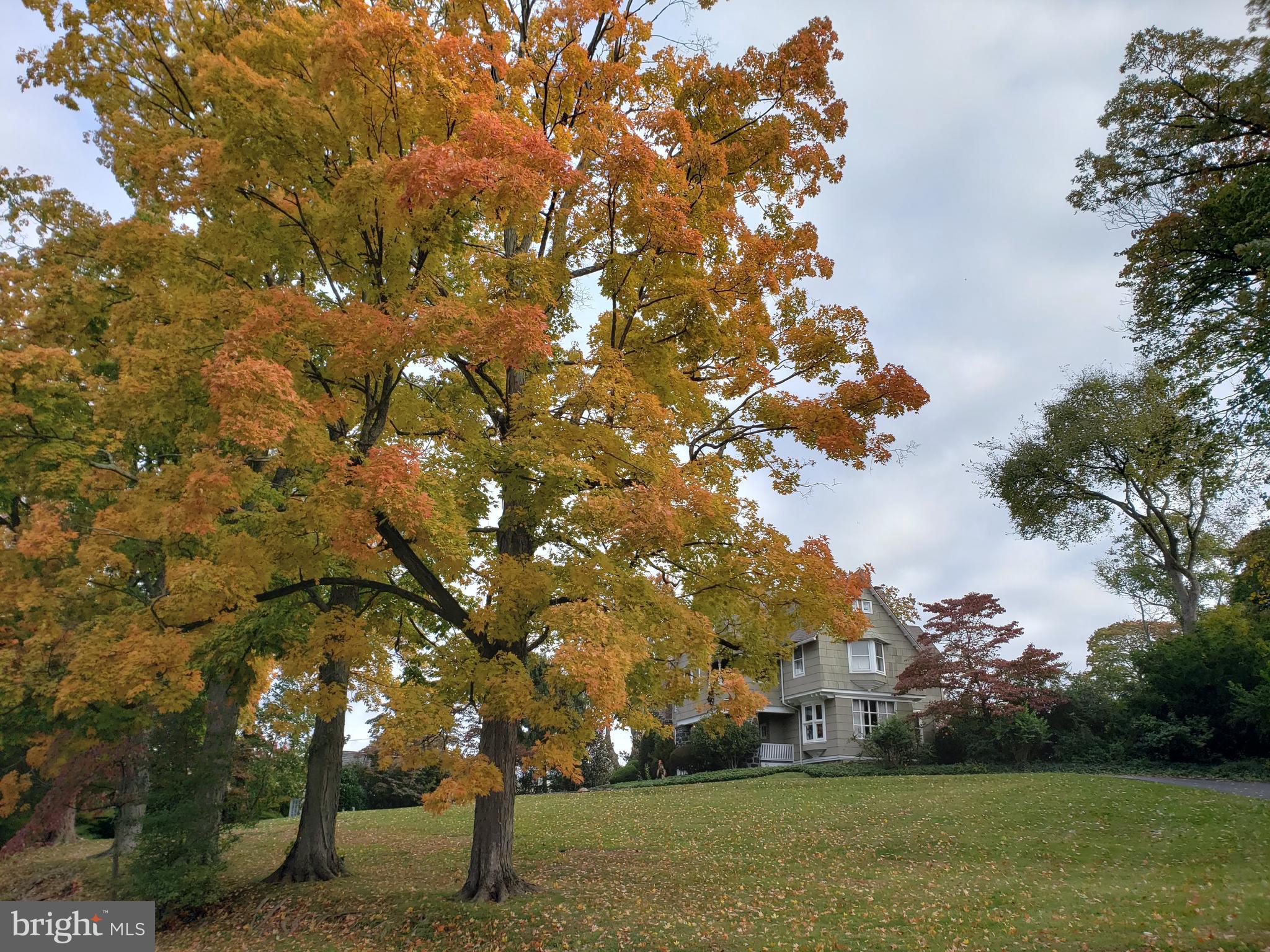 SOUTH WAYNE - Residential