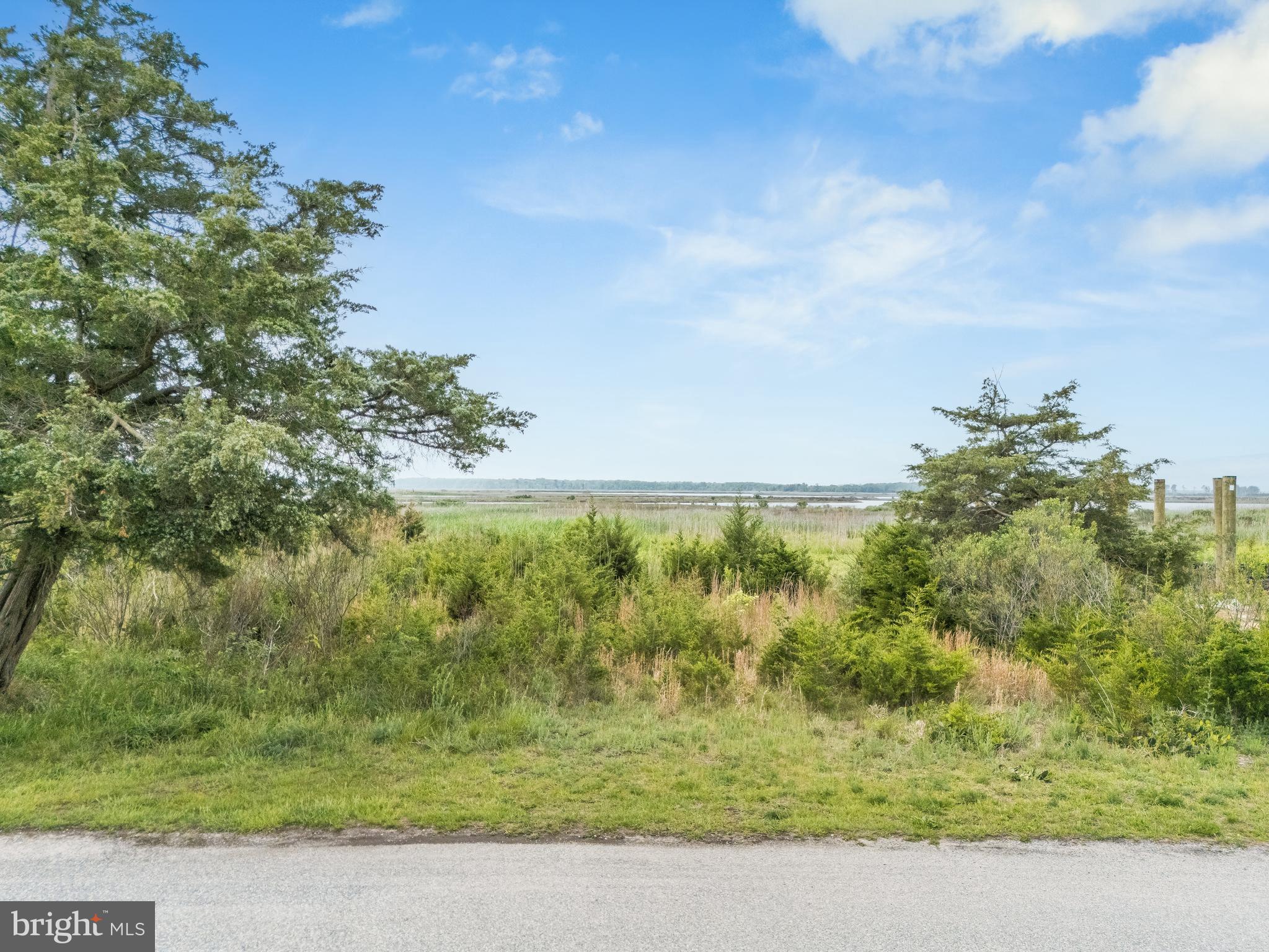 PRIMEHOOK BEACH - Land