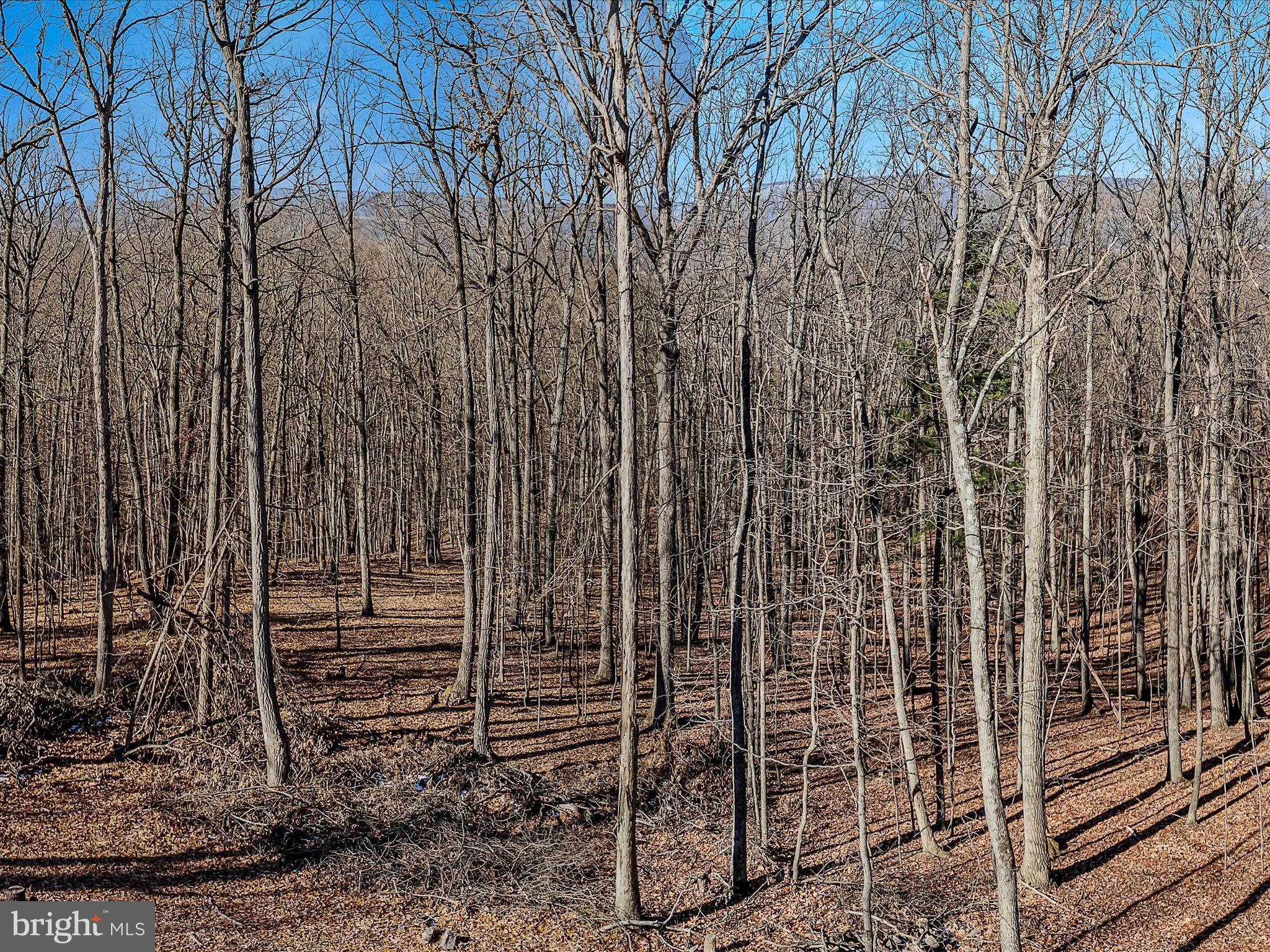 ROUND TOP ESTATES - Residential