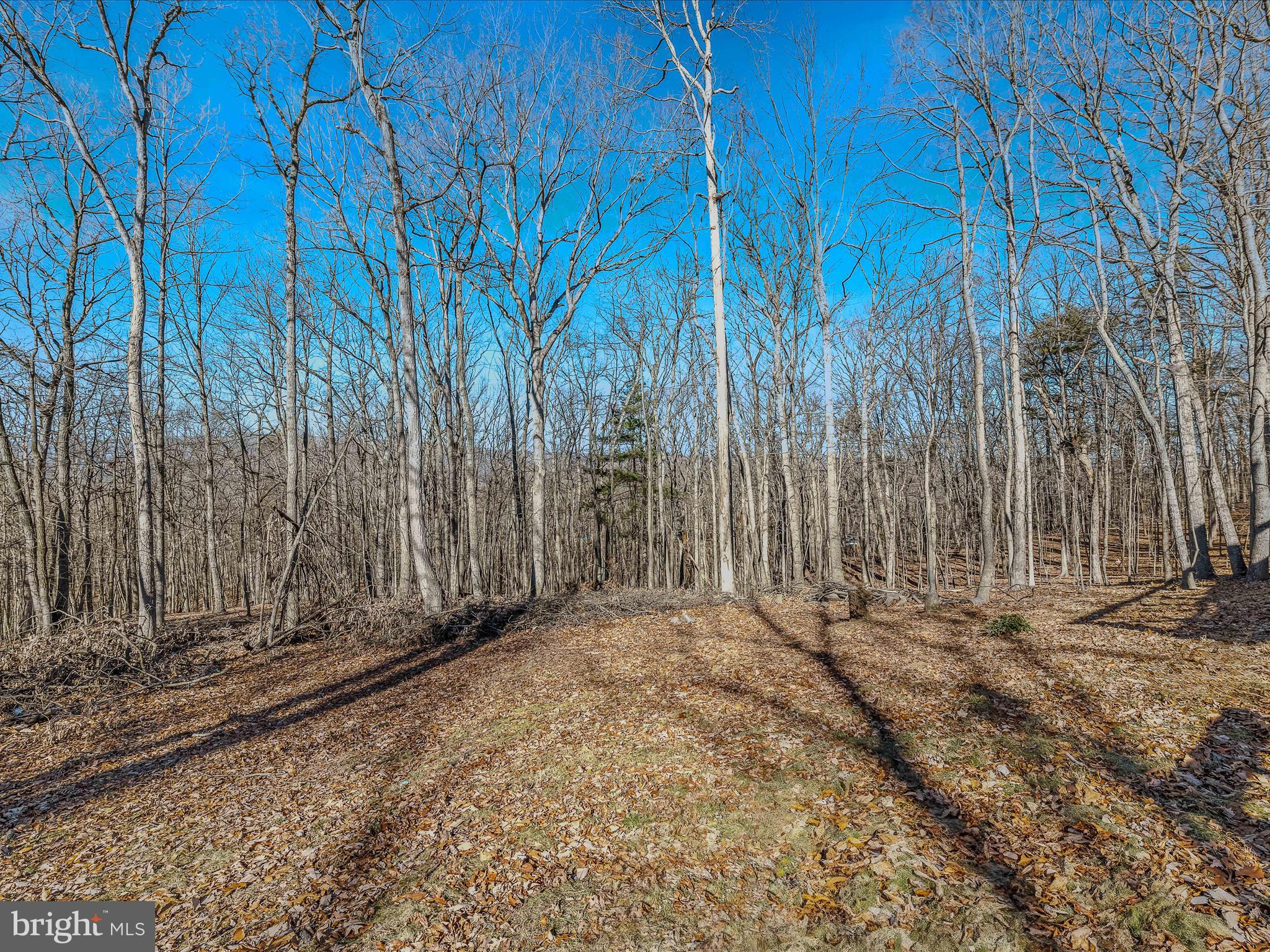 ROUND TOP ESTATES - Residential