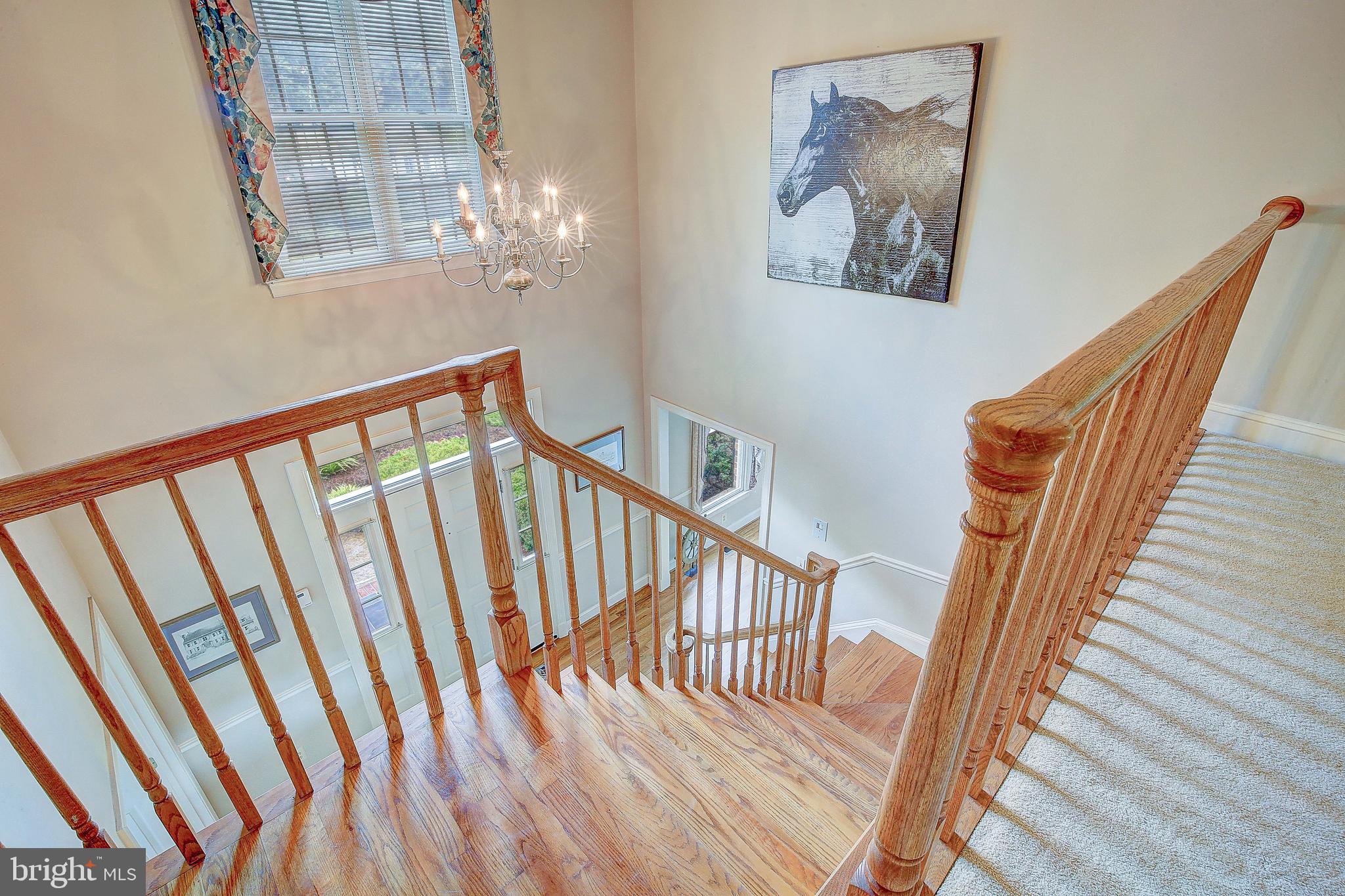 BLADEN - Residential