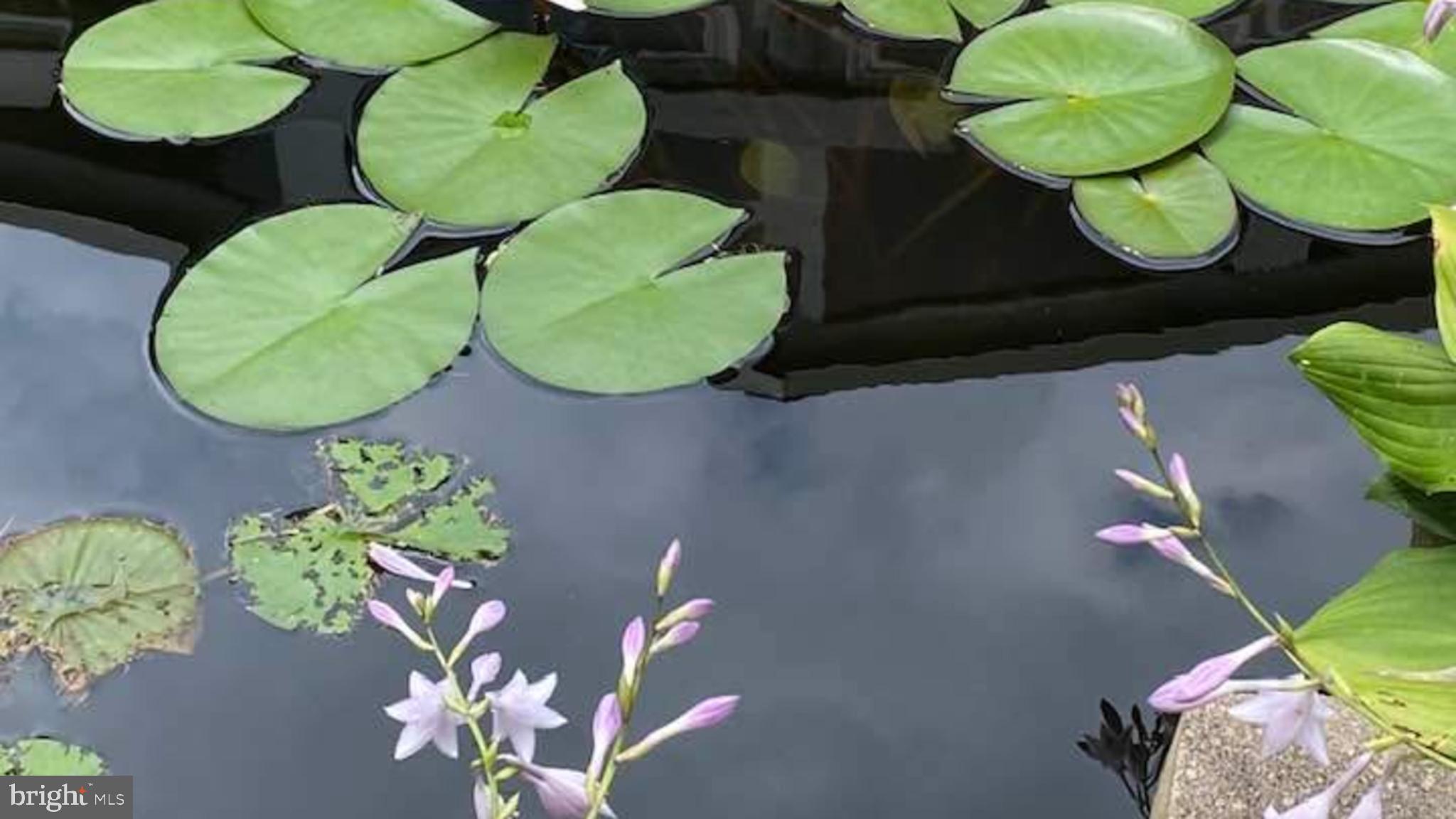 BROOKFIELD - Residential