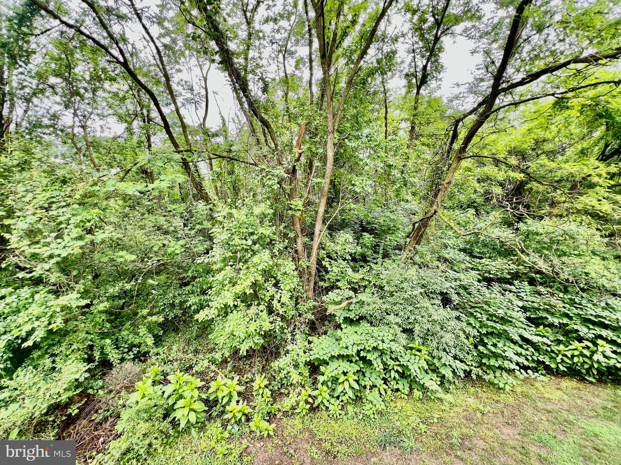 WINSLOW CHASE - Residential Lease