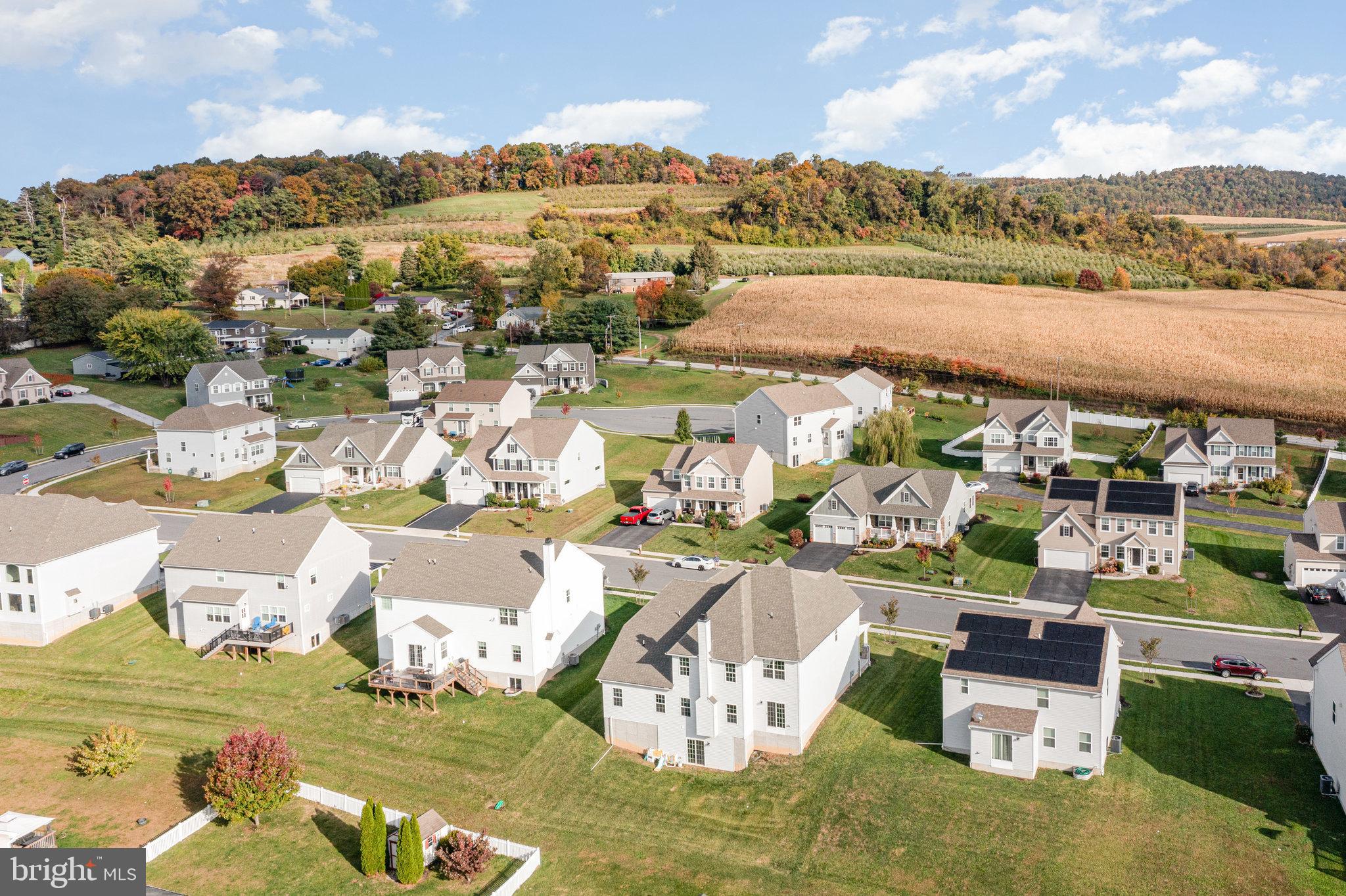 APPLE WOOD - Residential