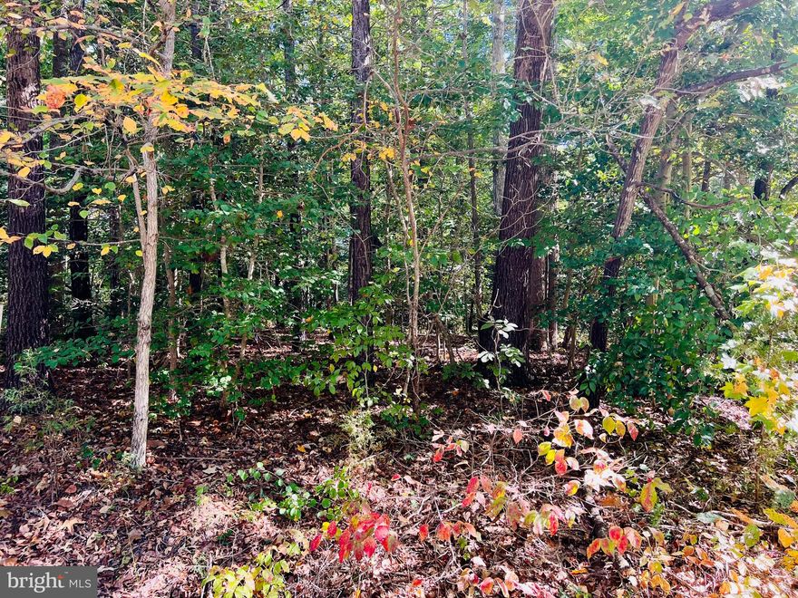 Come build your dream home on this gorgeous 1.12 acre cul-de-sac lot.  Appraisal in hand for $45000!