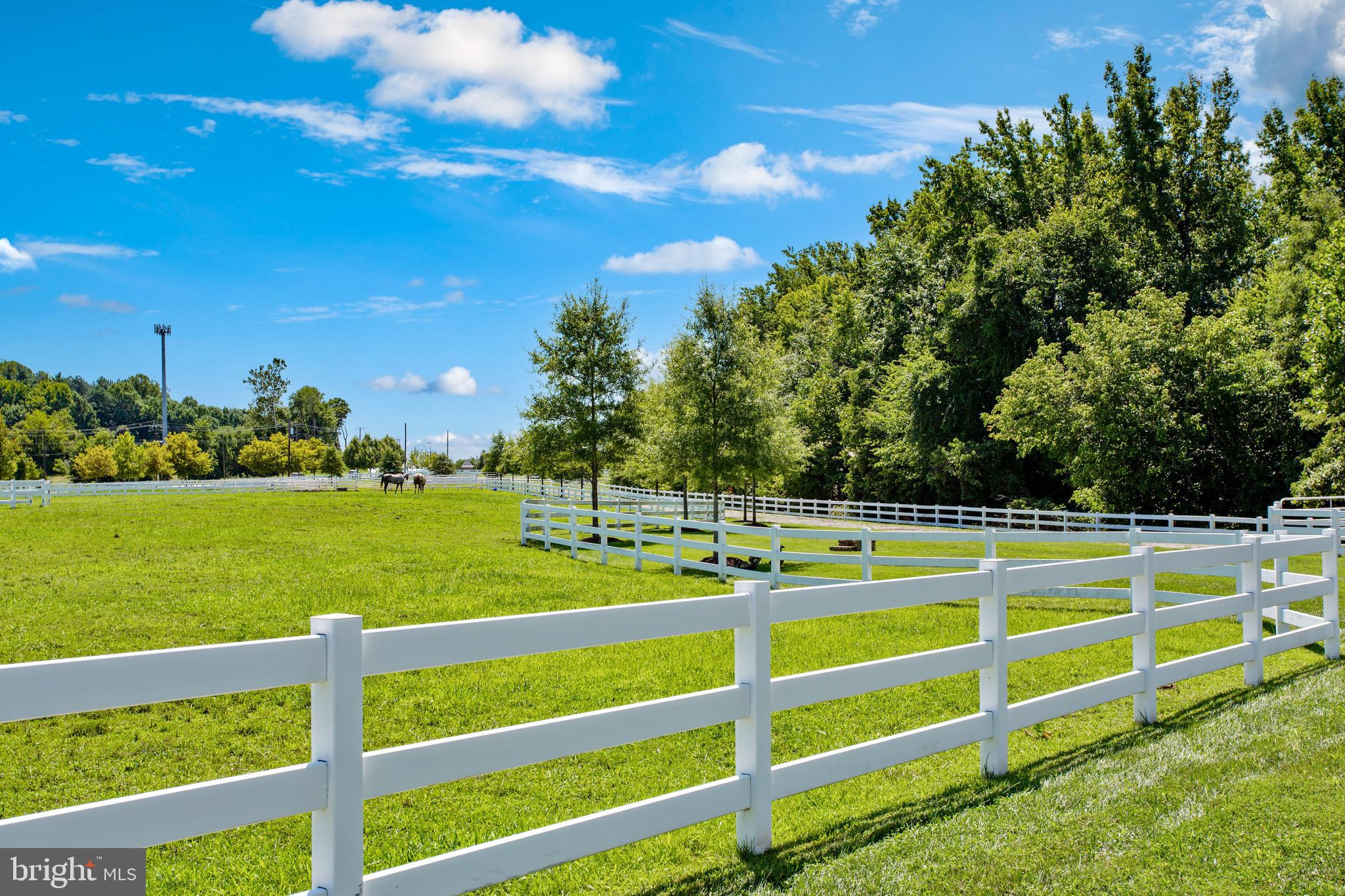 MARLBORO RIDGE - Residential