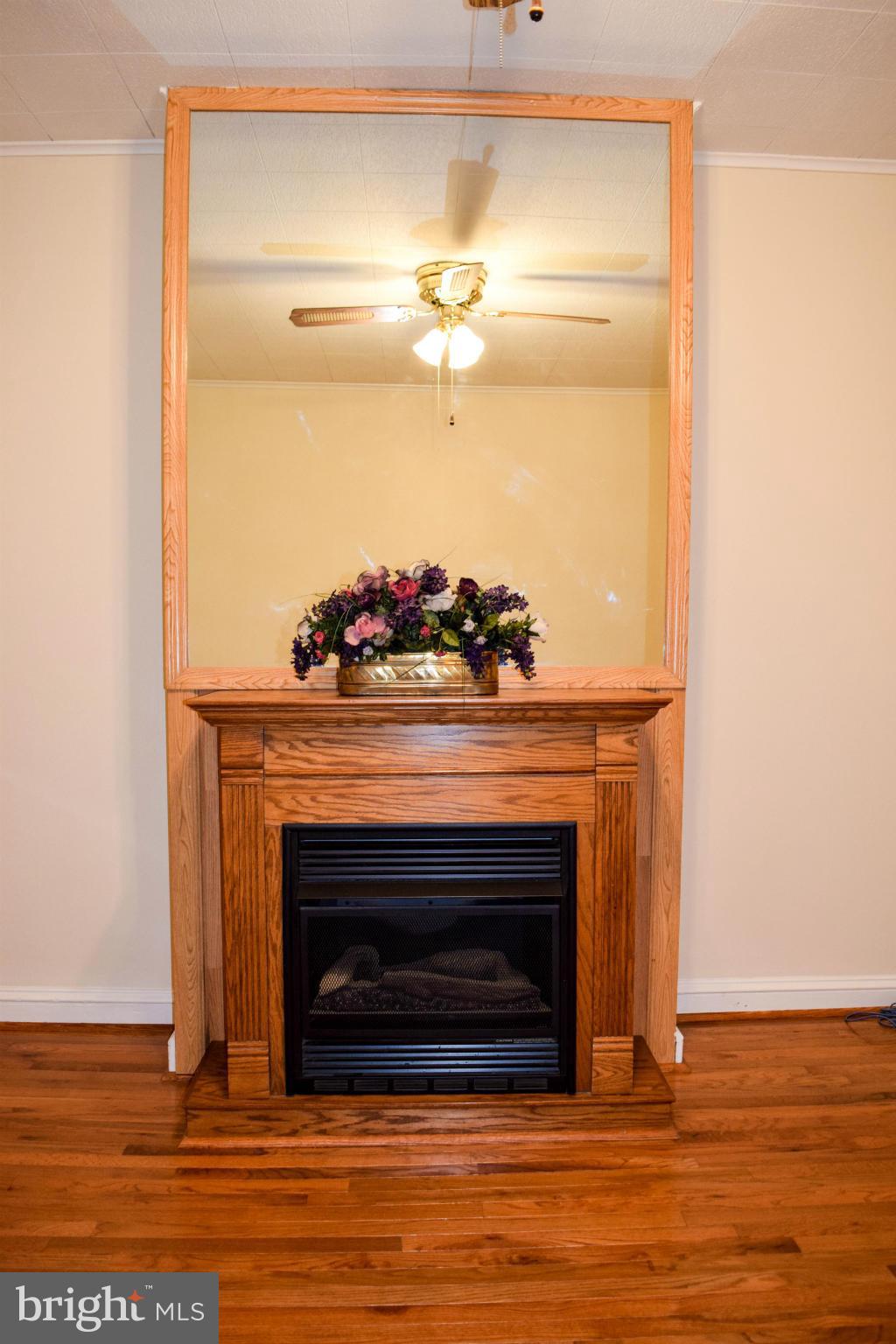 HAMPDEN HISTORIC DISTRICT - Residential