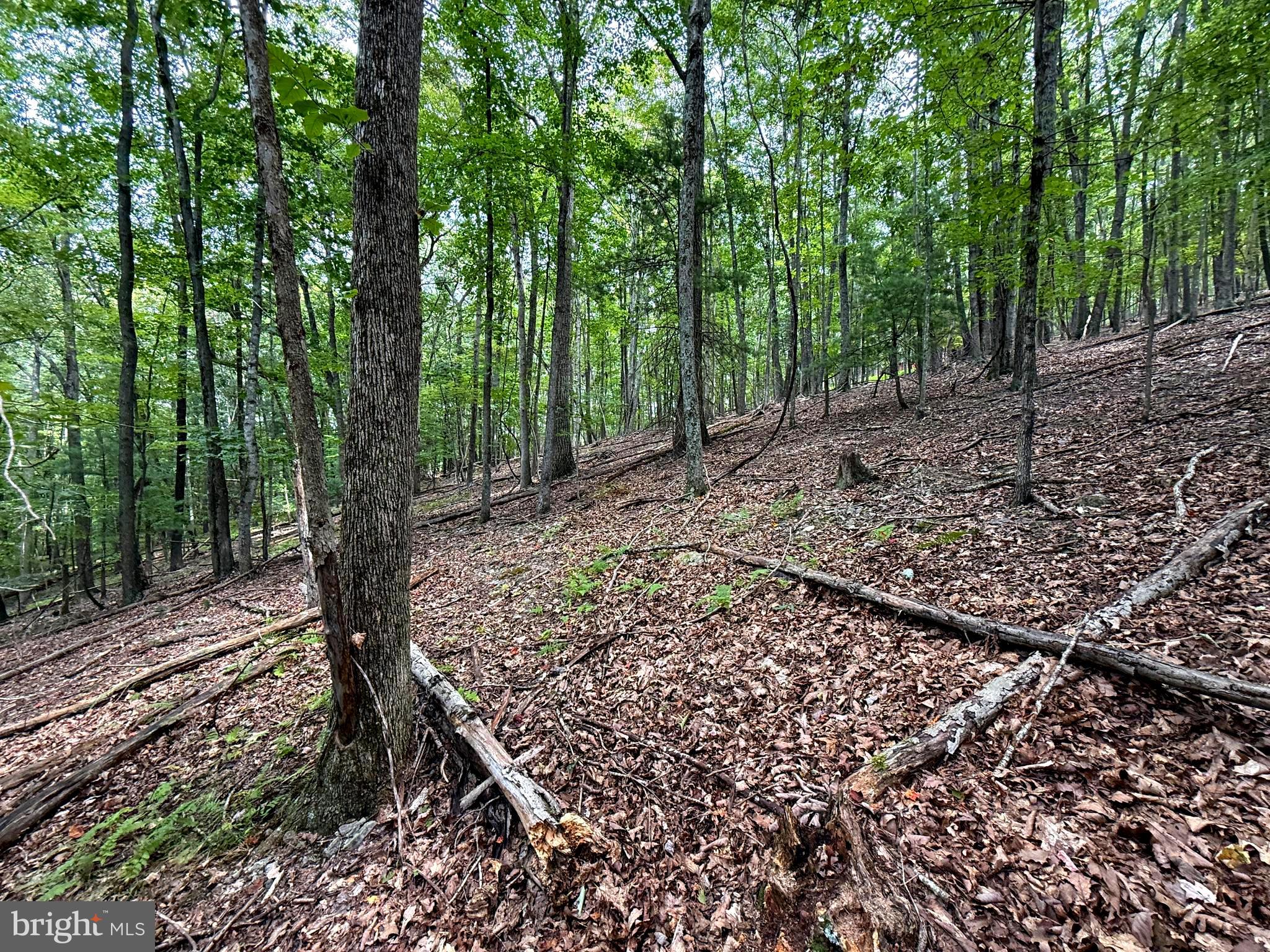 LOST RIVER MOUNTAIN SUBDIVISION - Land