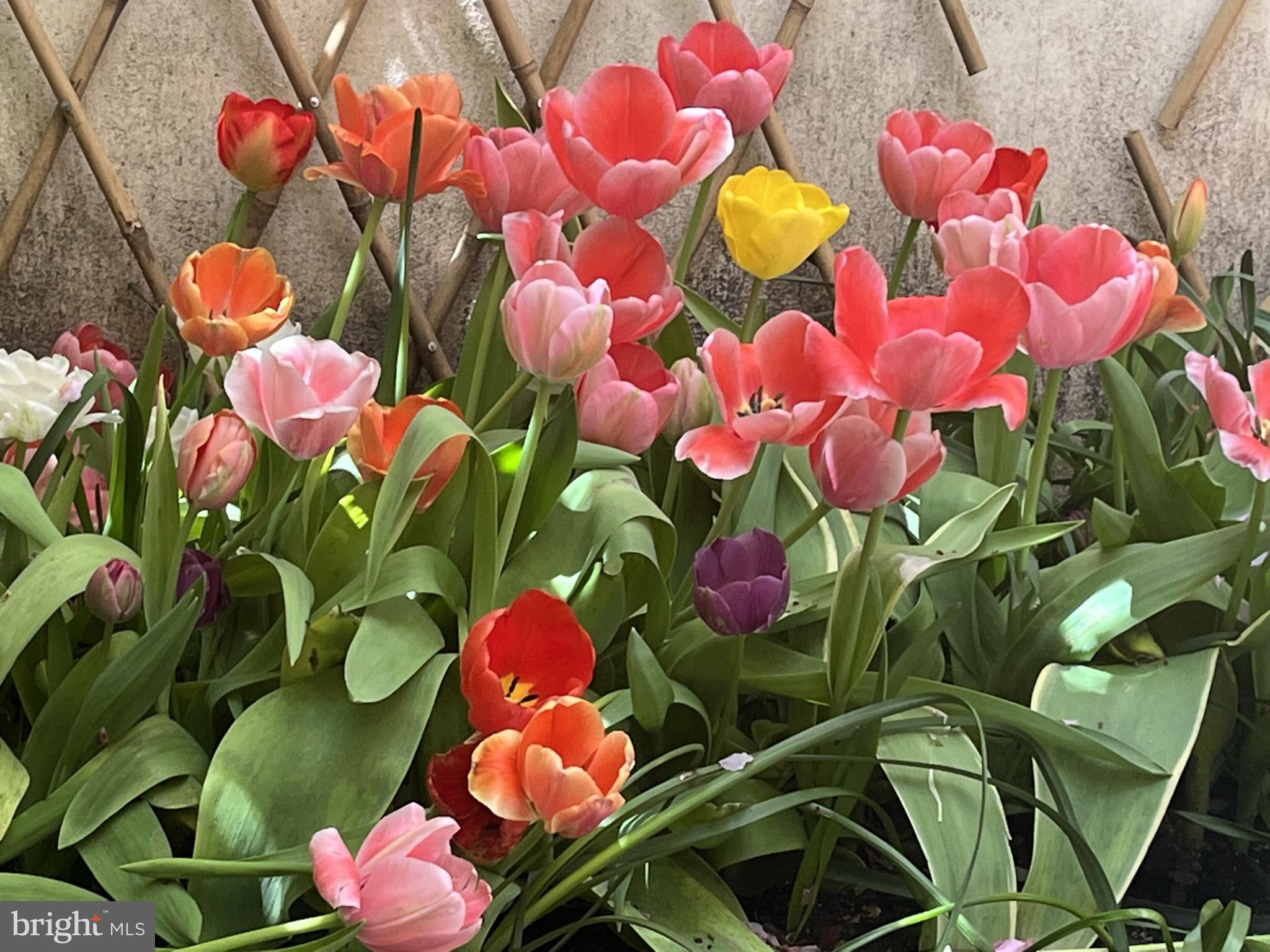 WASHINGTON SQ WEST - Residential