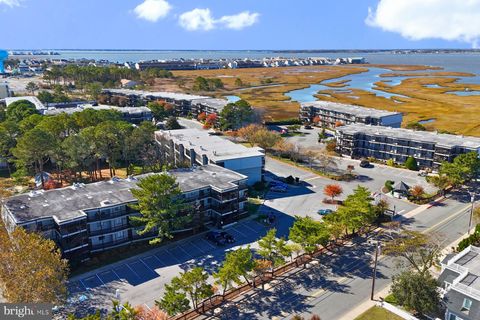 119 OLD LANDING ROAD 204J OCEAN CITY MD 21842