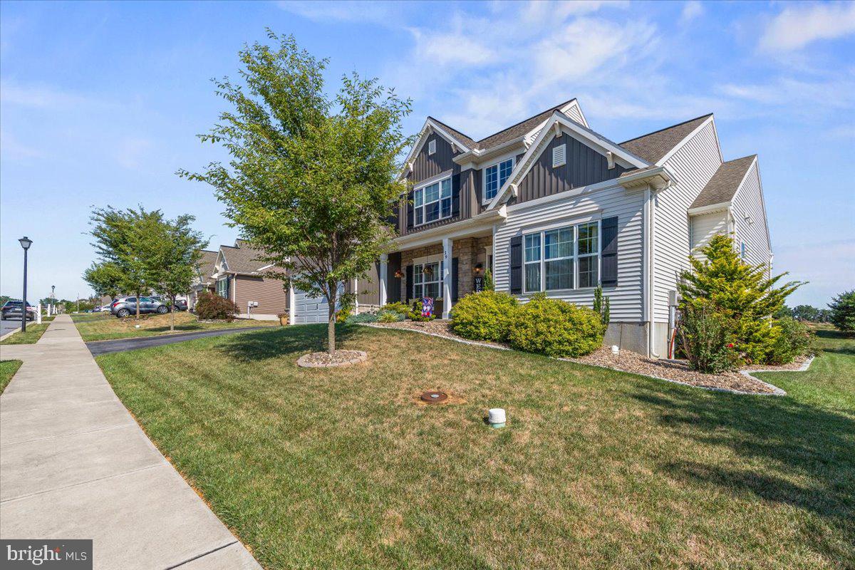 39 BLUE JAY WAY