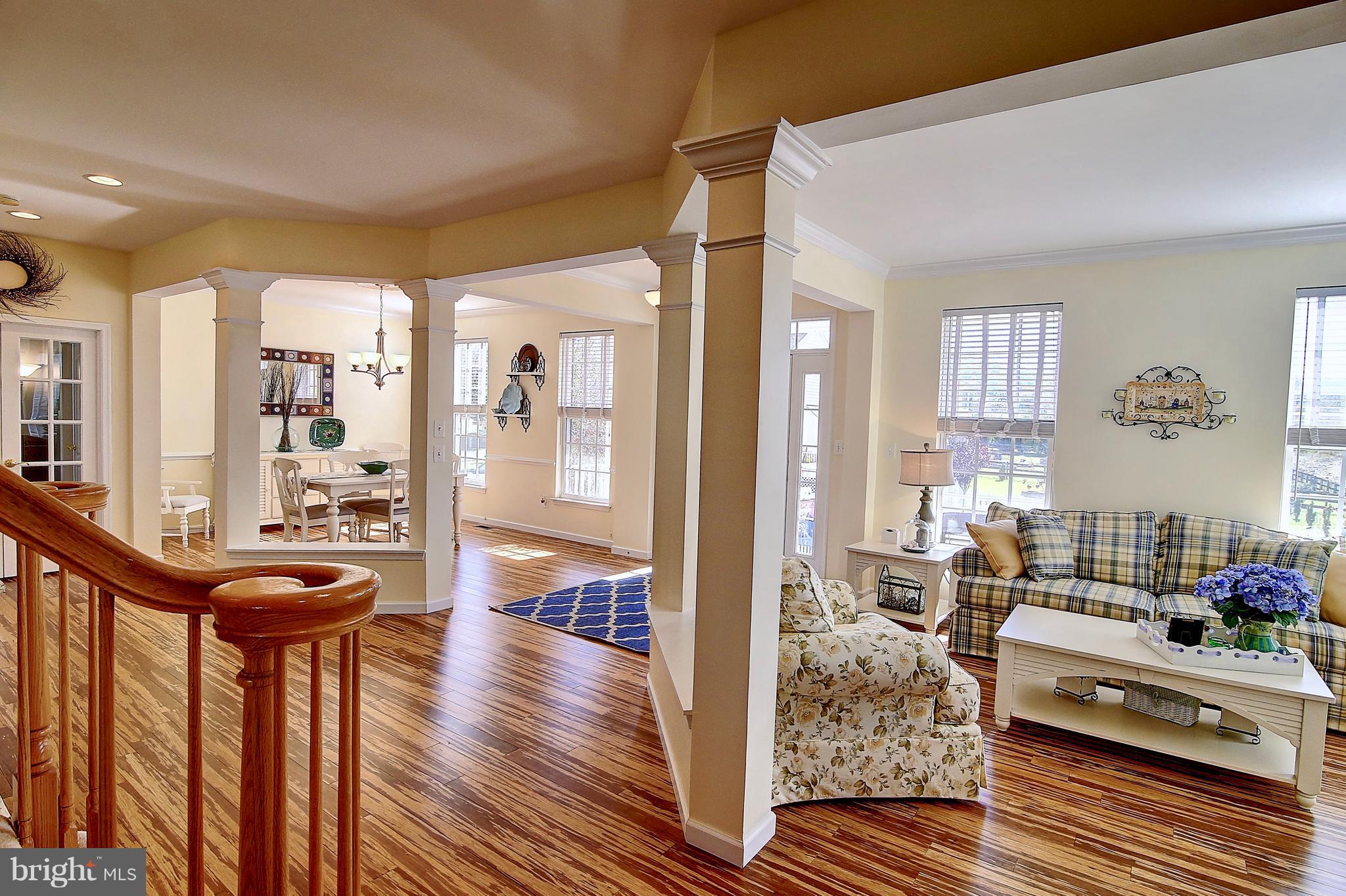 ELYSIAN HEIGHTS - Residential