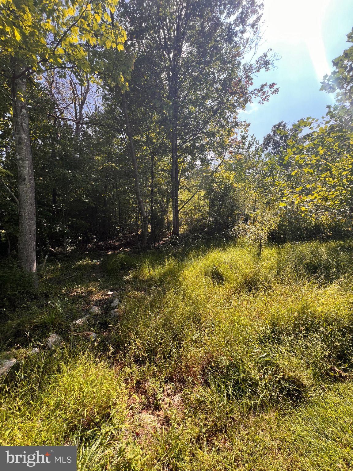 LOT 28 CEDAR LANE