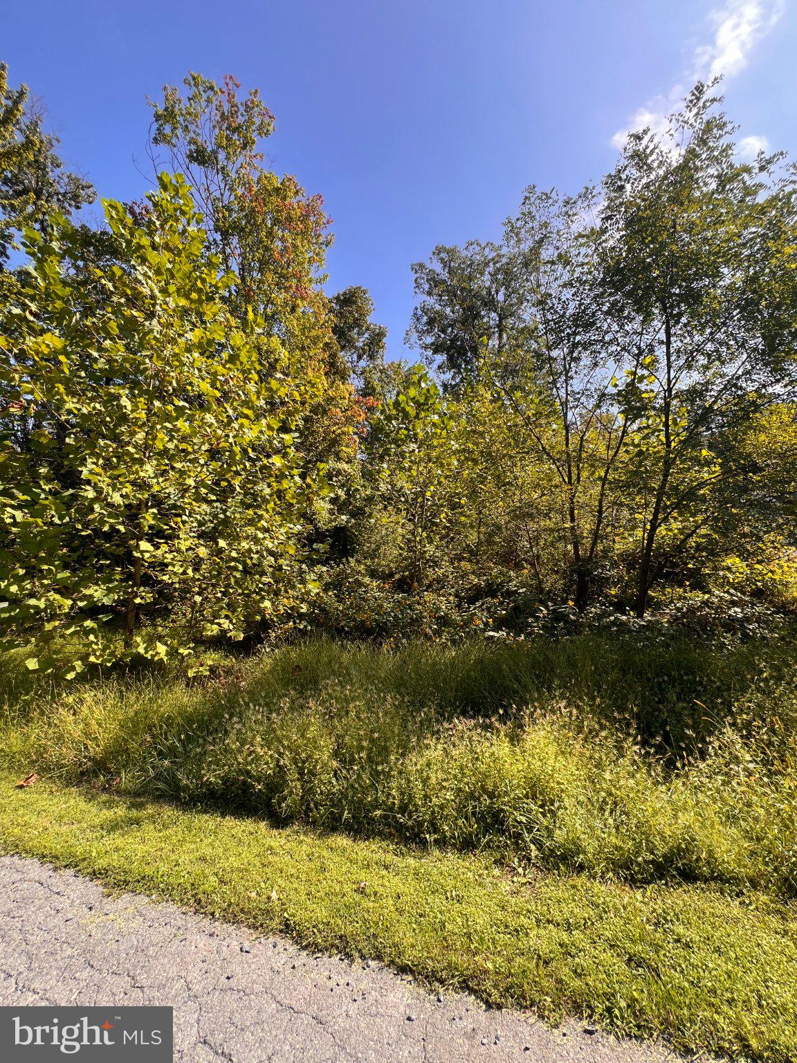 LOT 28 CEDAR LANE