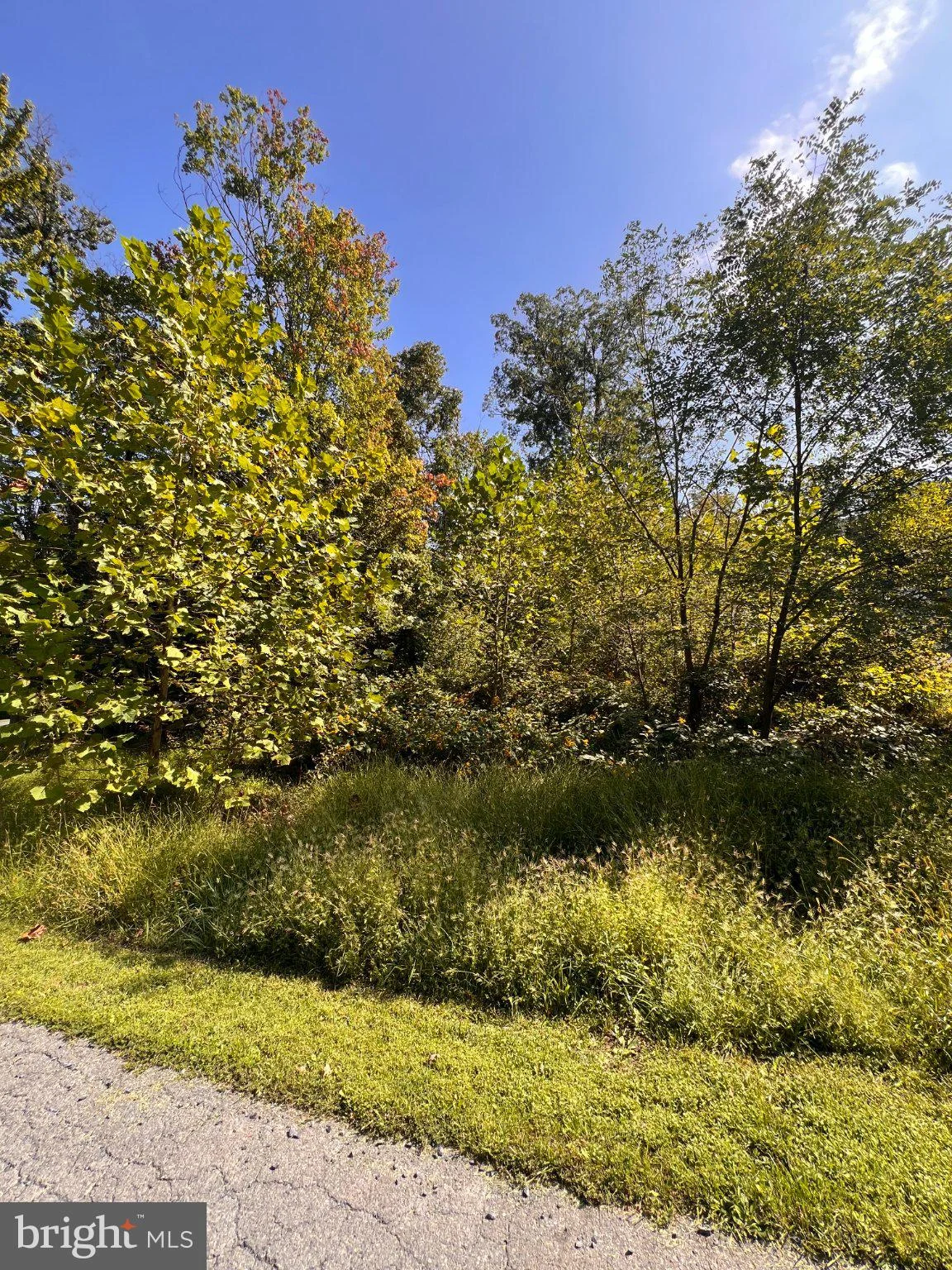 LOT 28 Cedar Lane